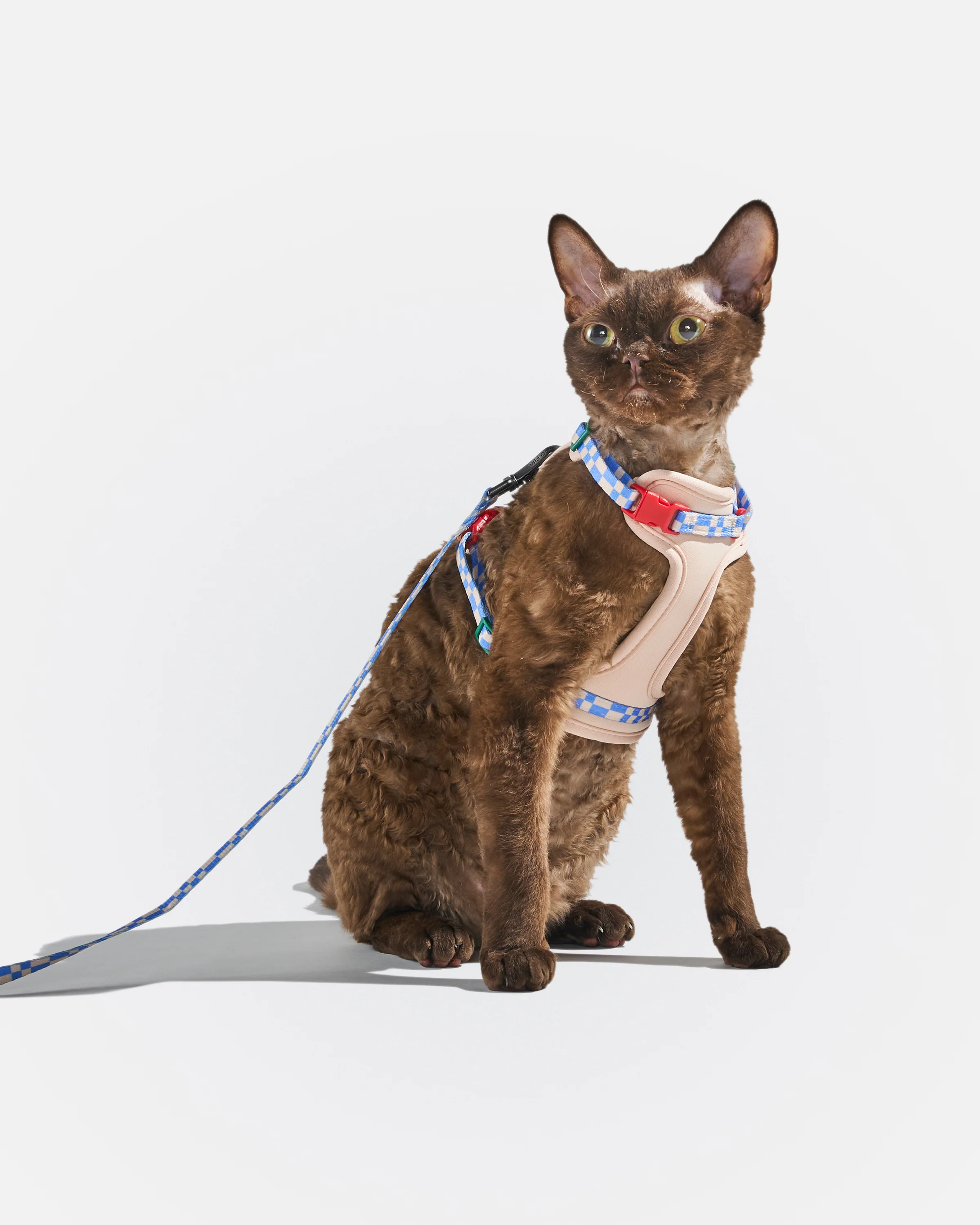 Cat Harness & Leash - Image 12