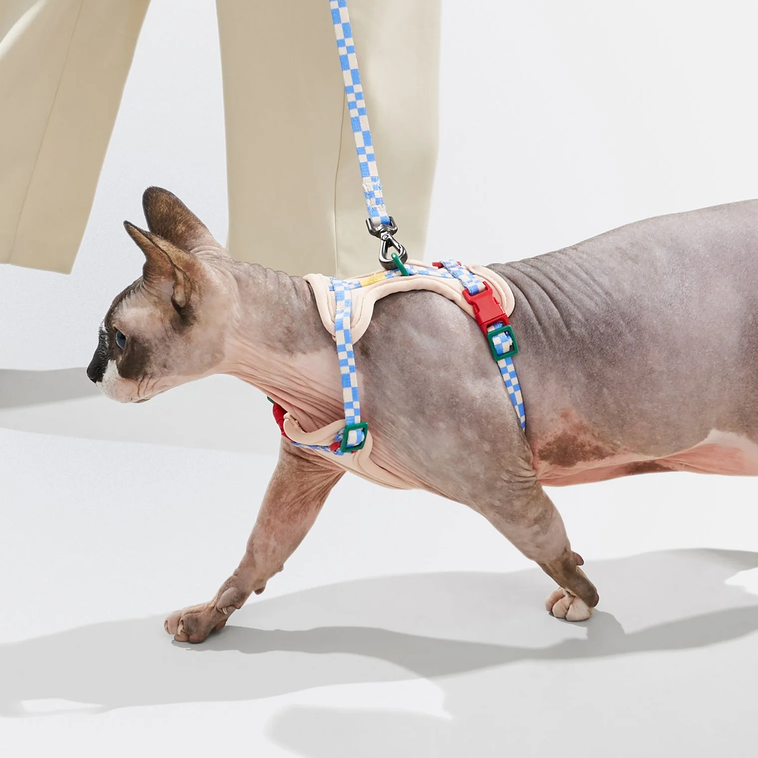 Cat Harness & Leash - Image 16