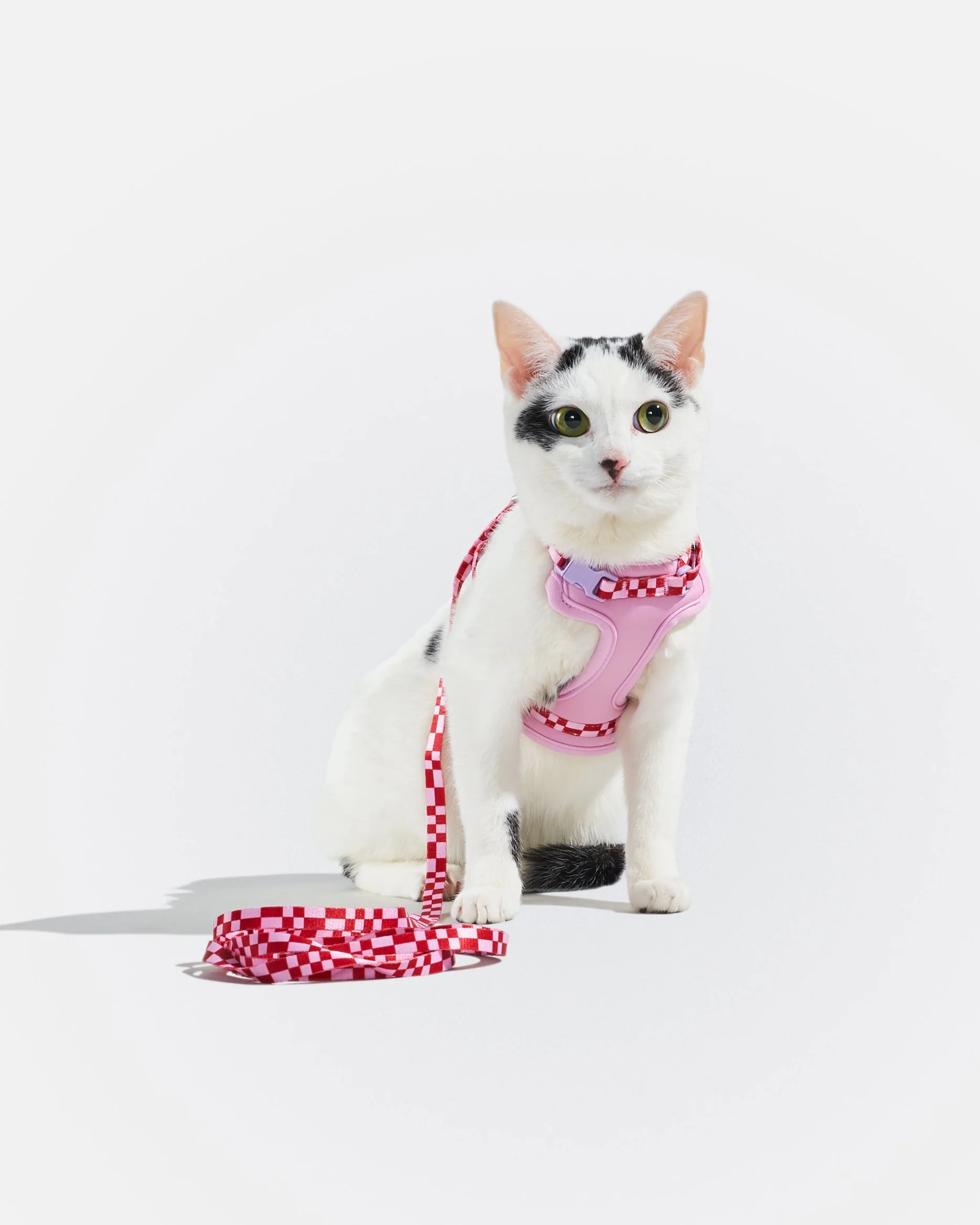 Cat Harness & Leash - Image 17