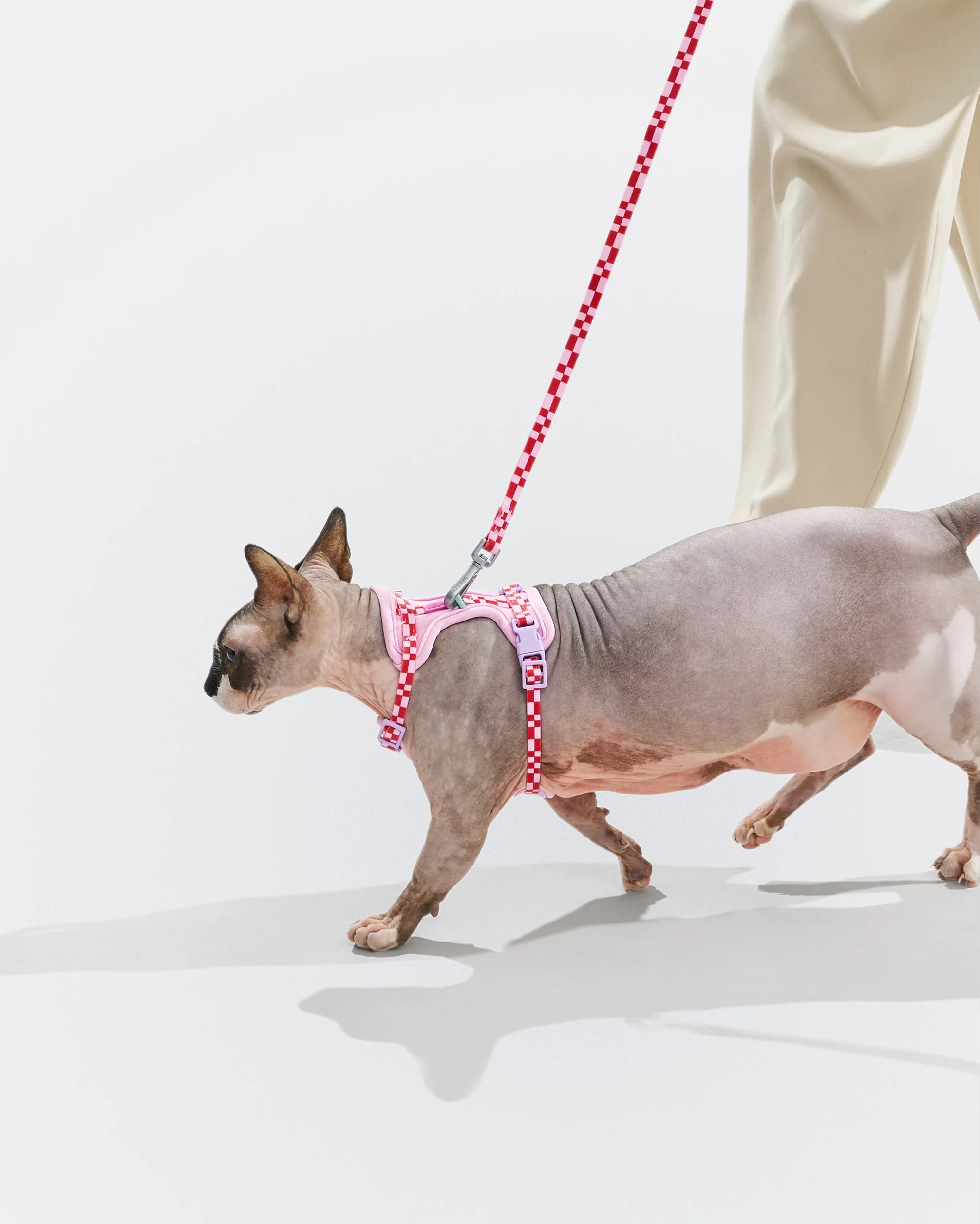 Cat Harness & Leash - Image 2
