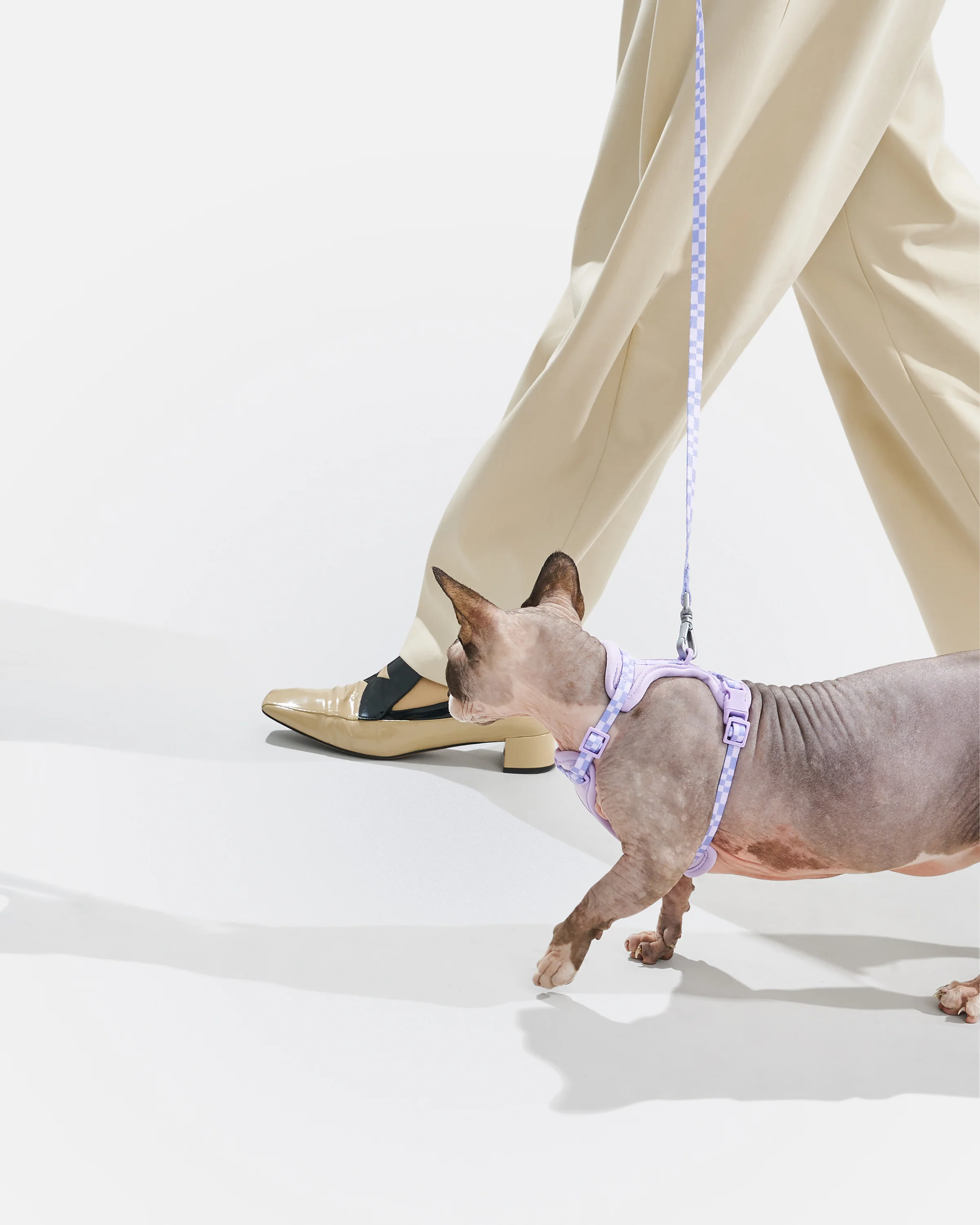 Cat Harness & Leash - Image 4