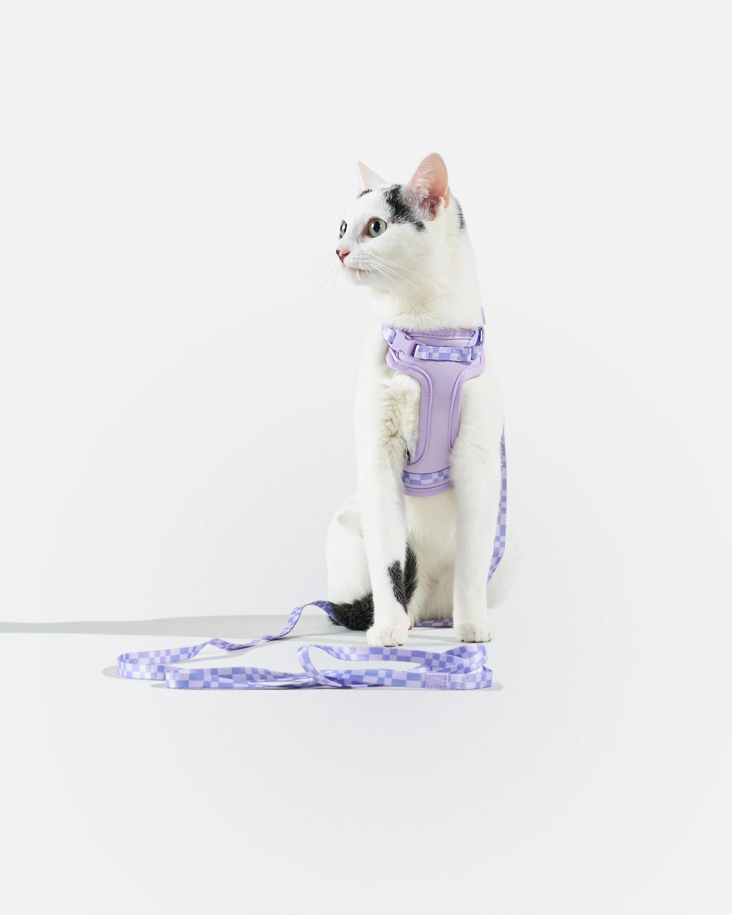 Cat Harness & Leash - Image 5