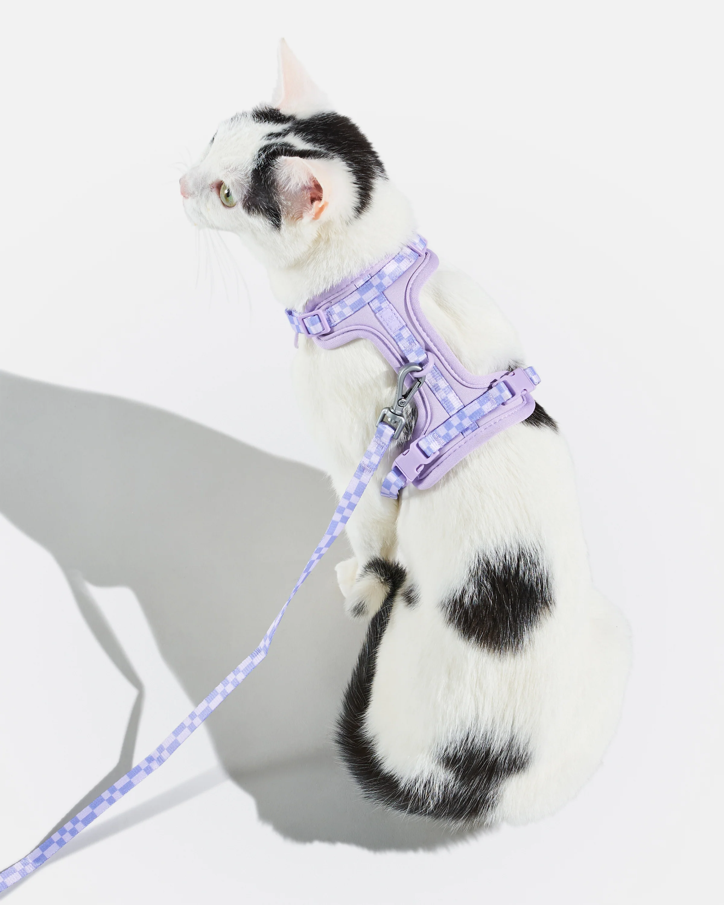 Cat Harness & Leash - Image 6