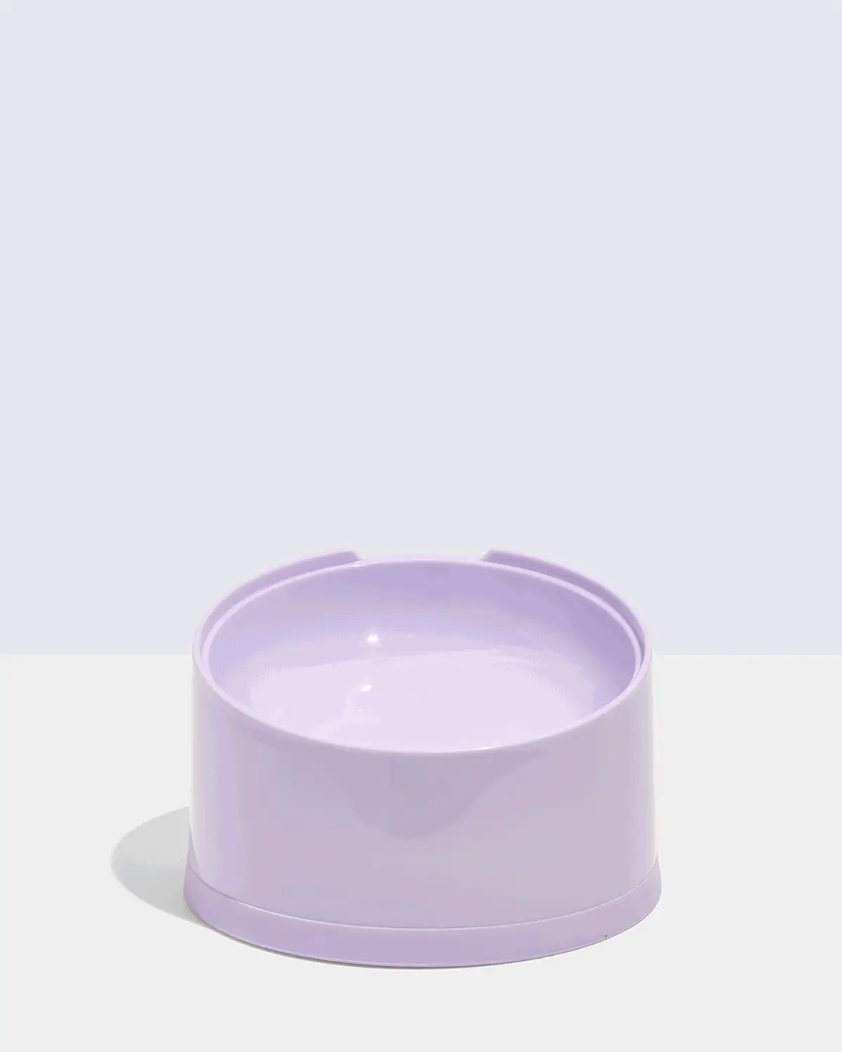 Cat Meal Kit - Image 4