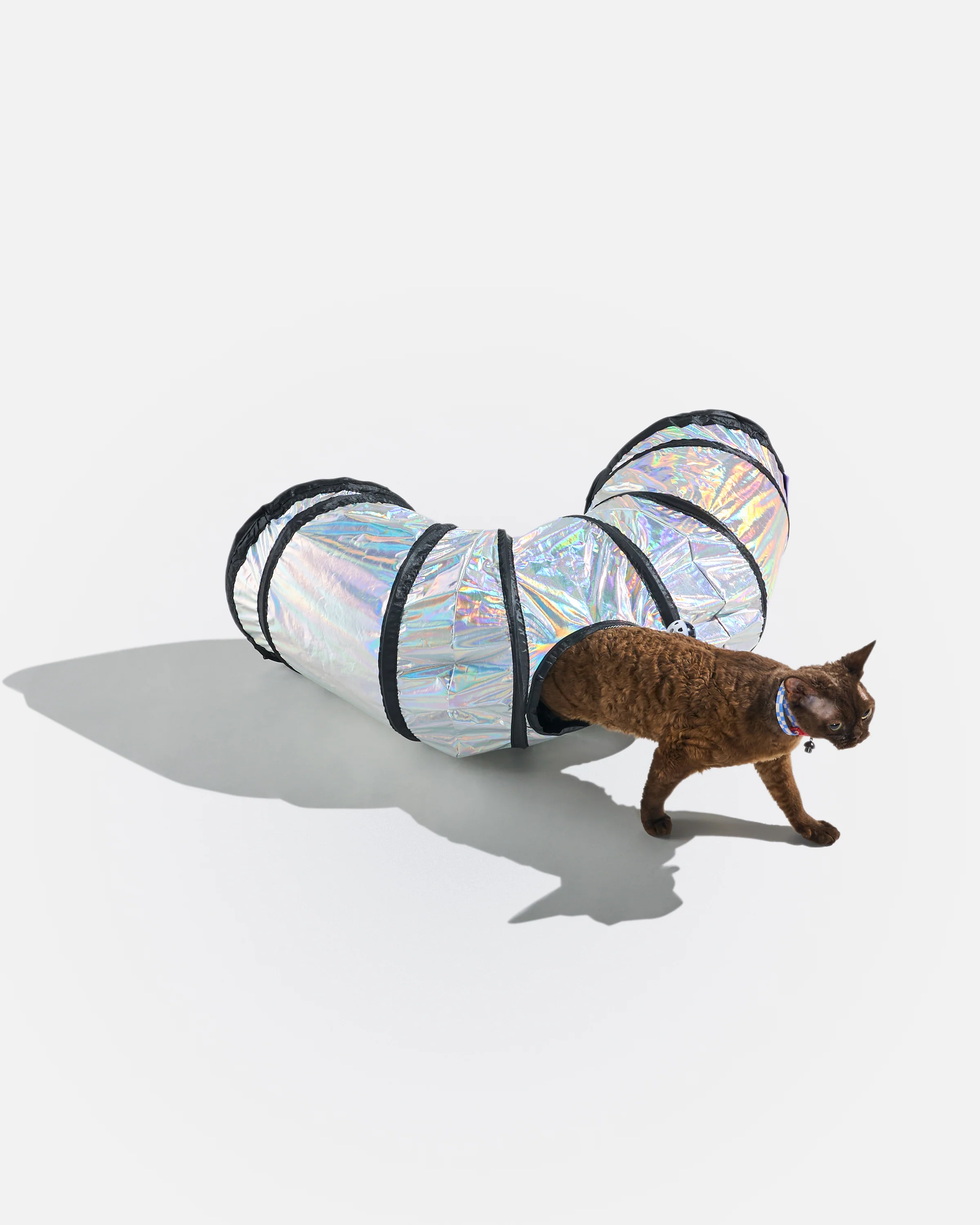 Cat Tunnel - Image 16