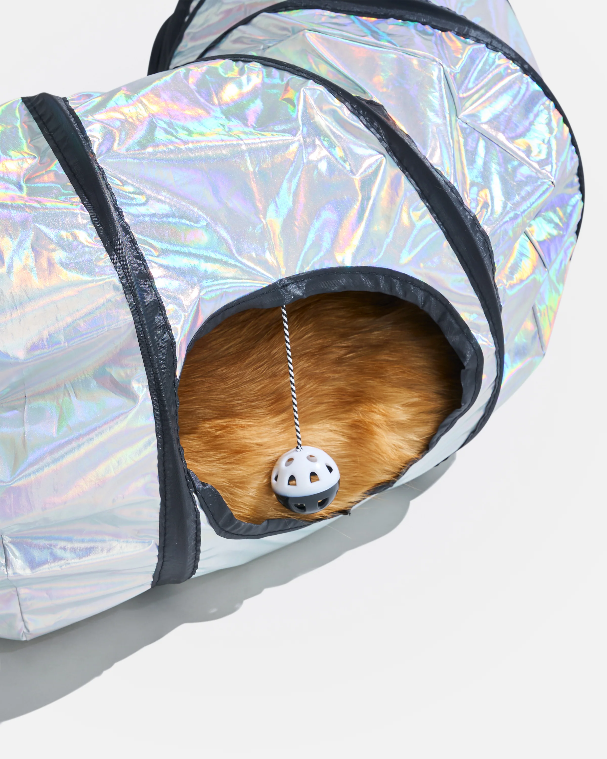 Cat Tunnel - Image 19