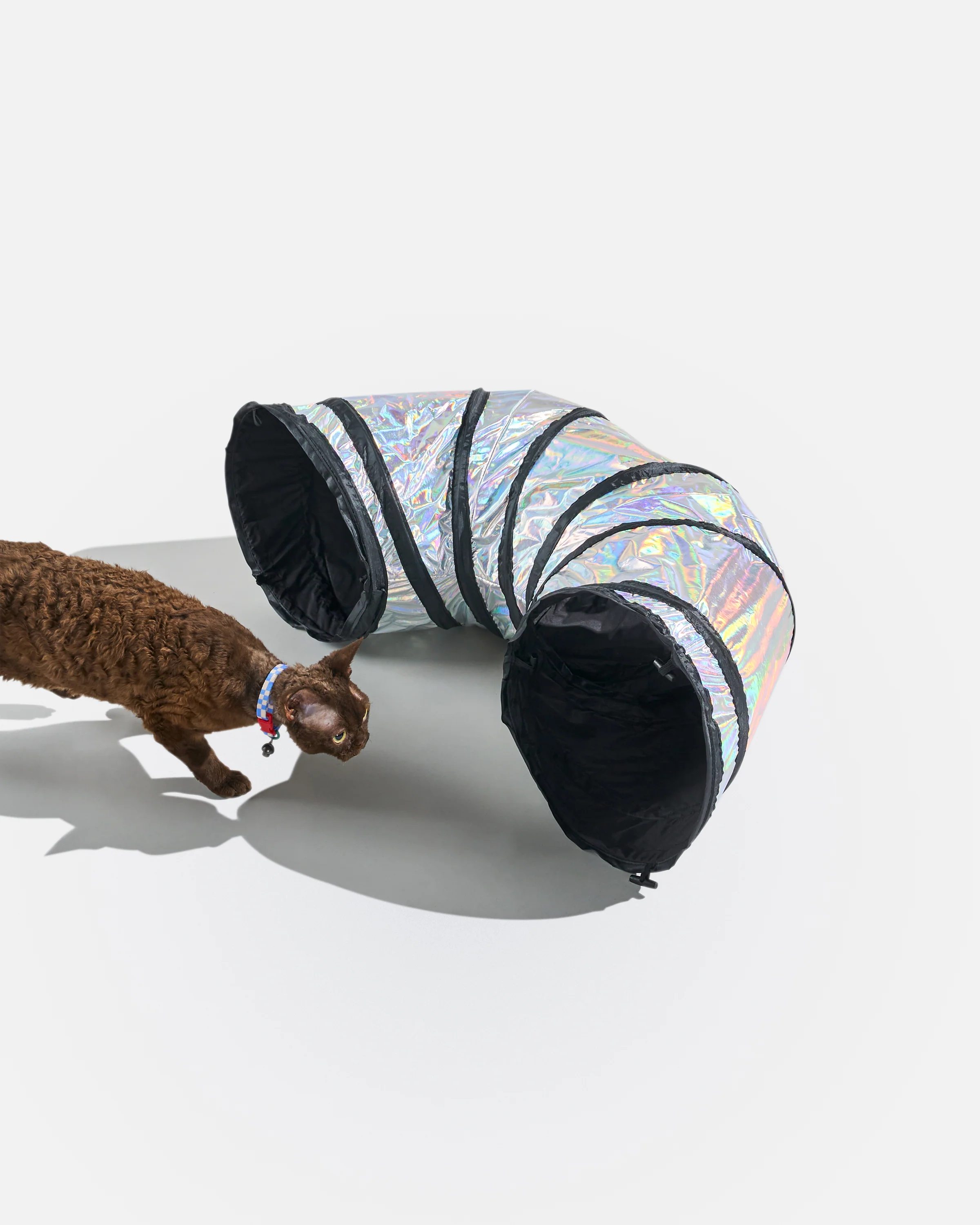 Cat Tunnel - Image 3