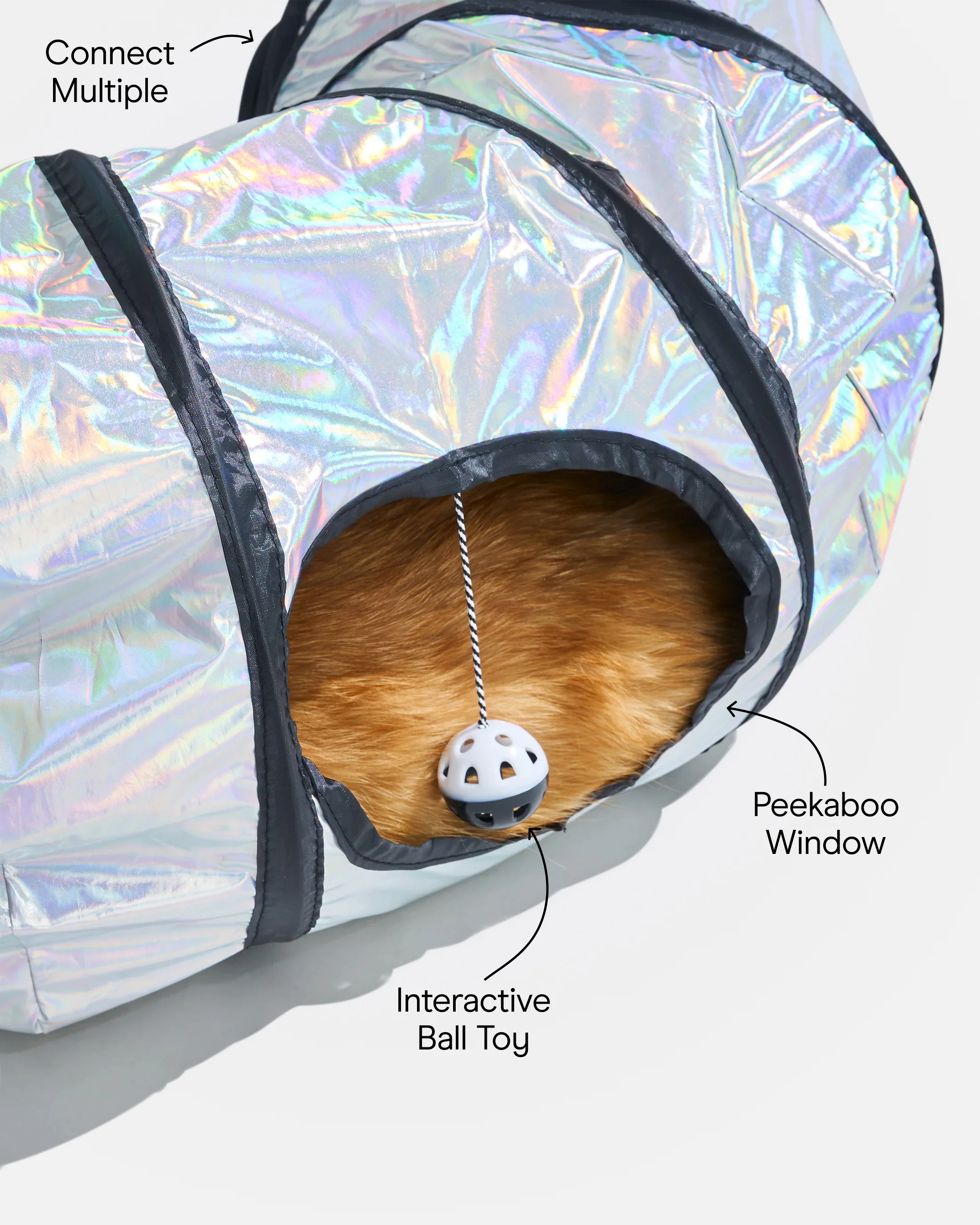 Cat Tunnel - Image 4
