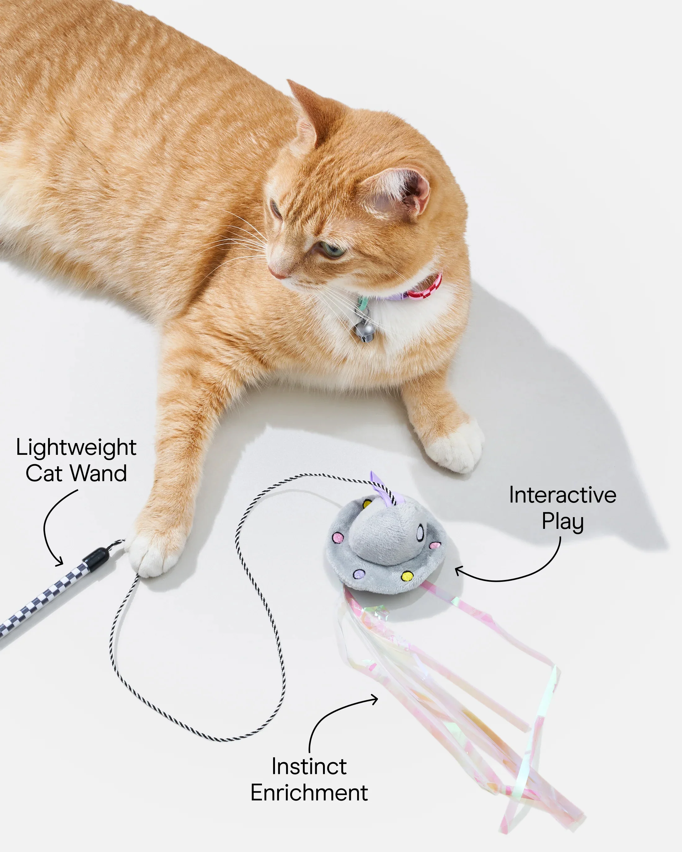 Cat Wild Wand - Image 4