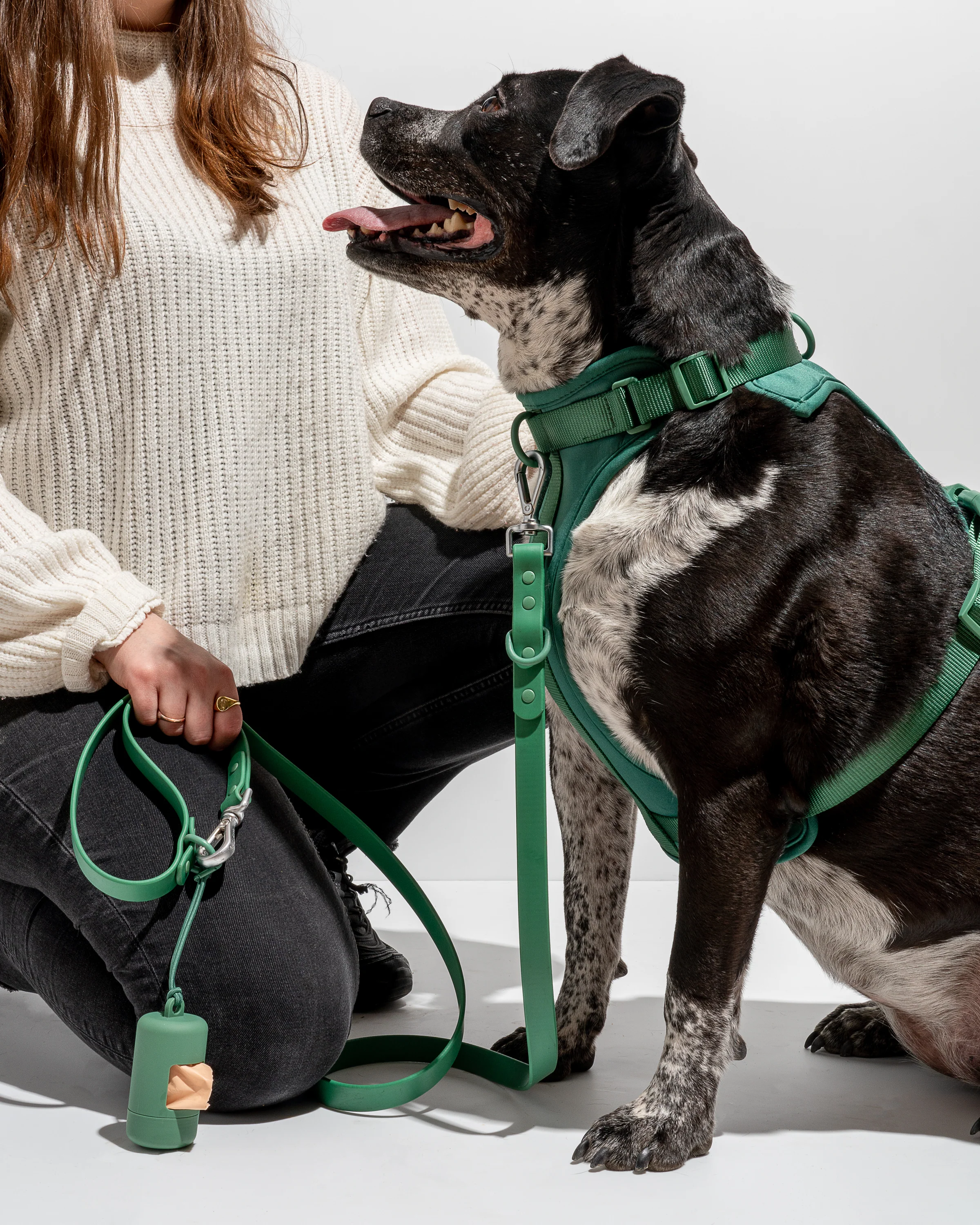 Cushioned Dog Harness - Image 16