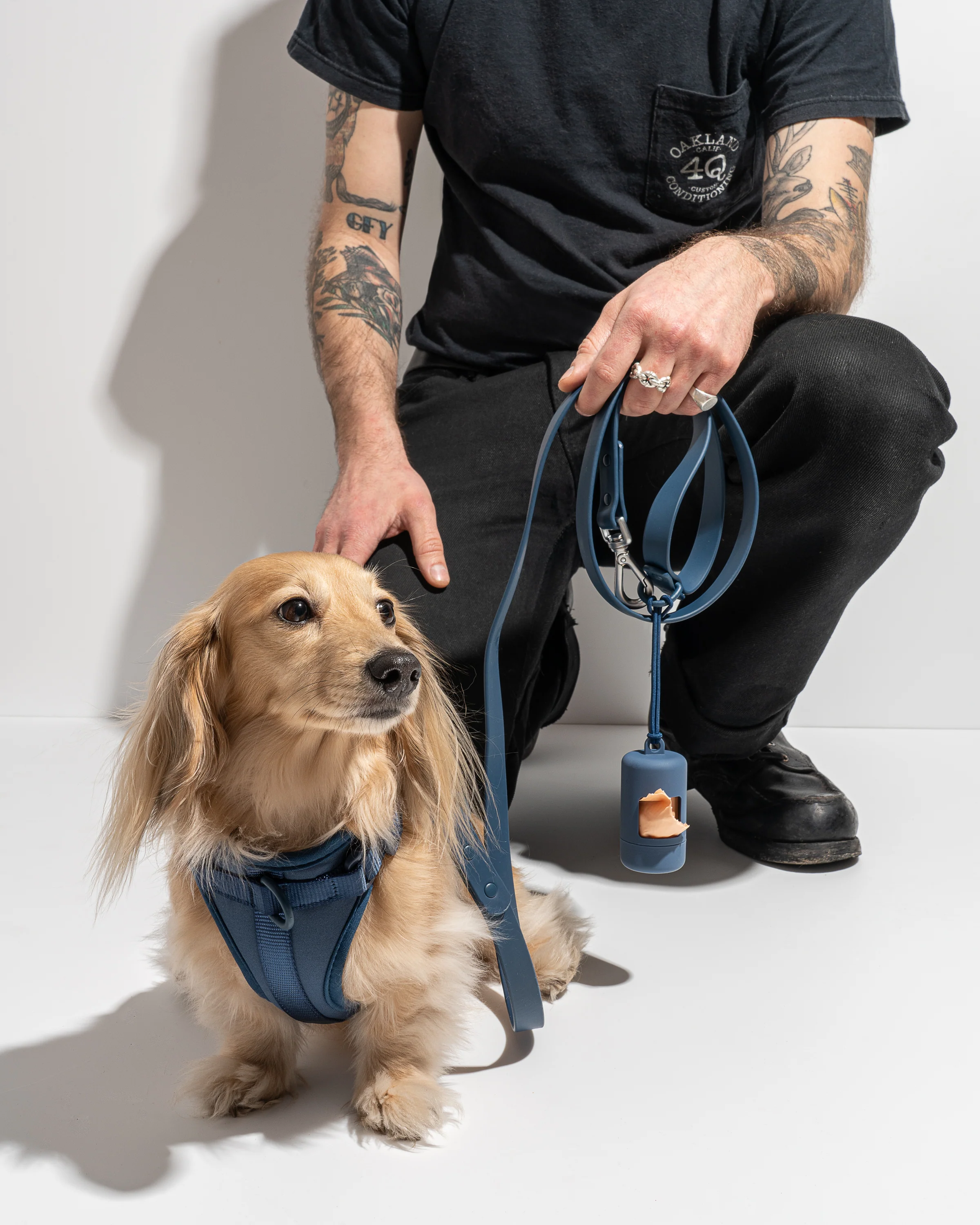 Cushioned Dog Harness - Image 45