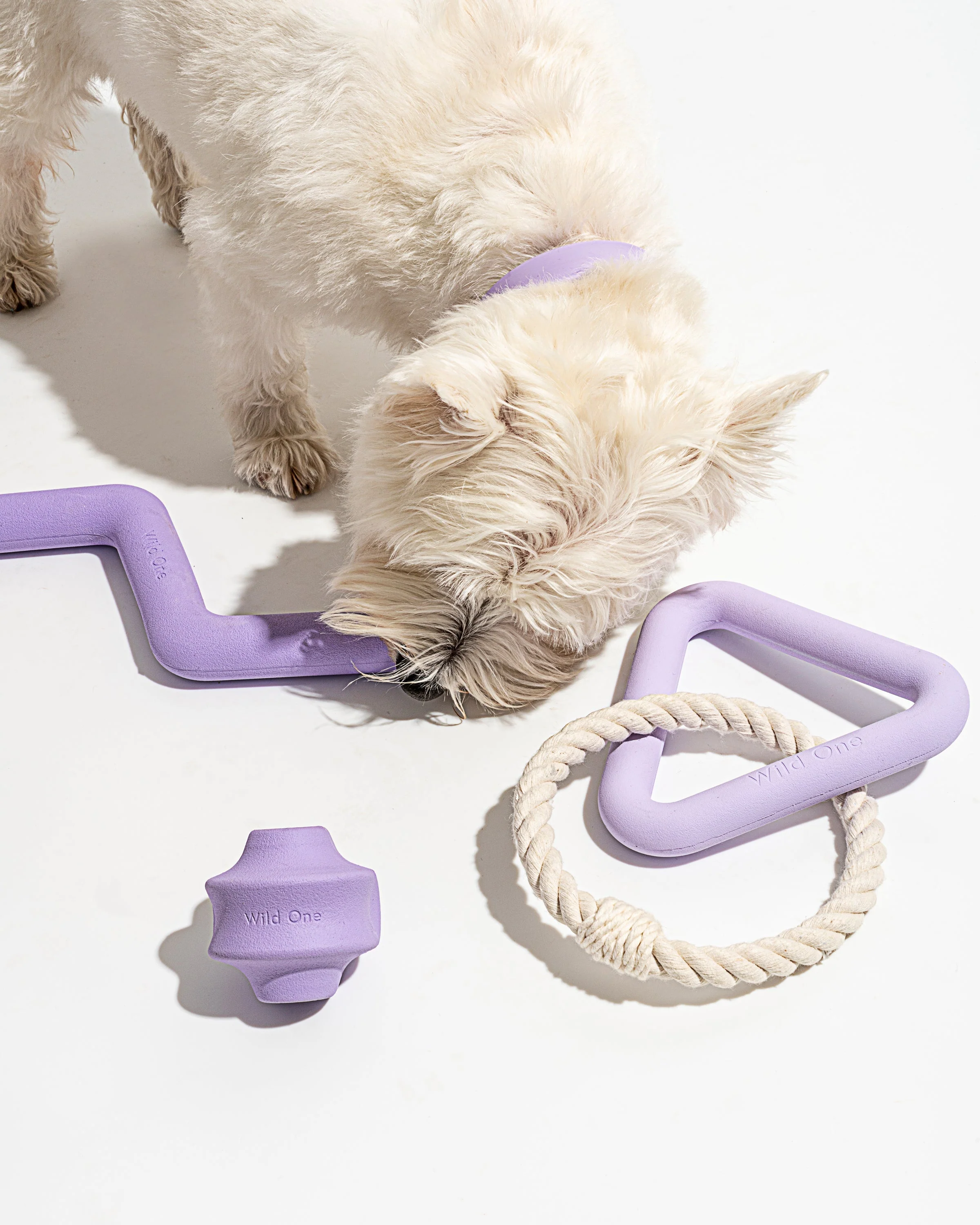 Toy Kit - Image 14