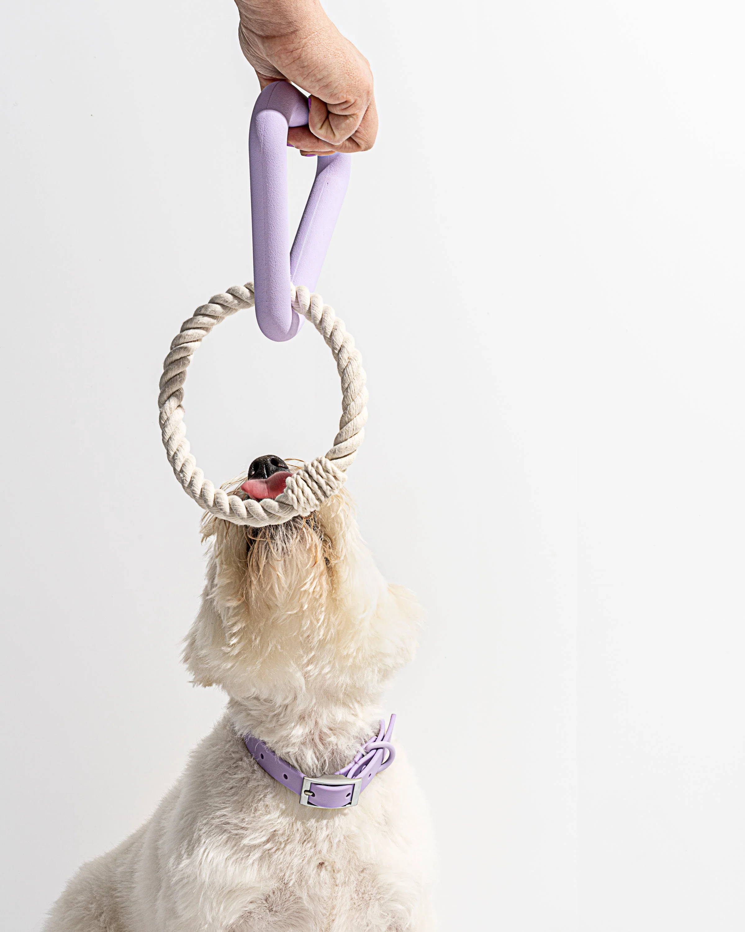 Toy Kit - Image 18