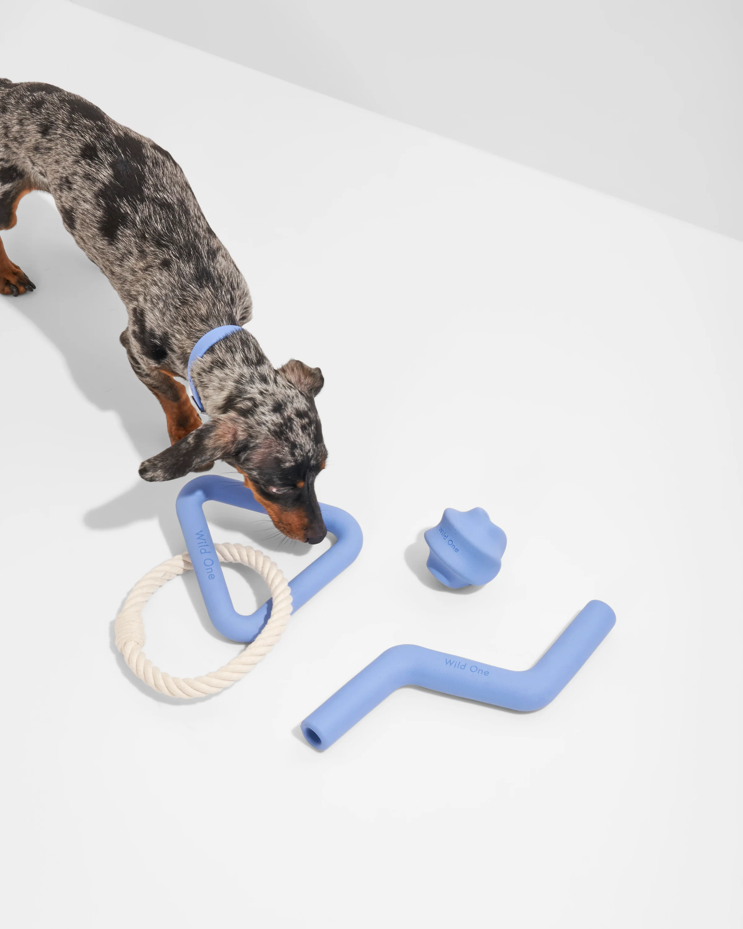 Toy Kit - Image 3