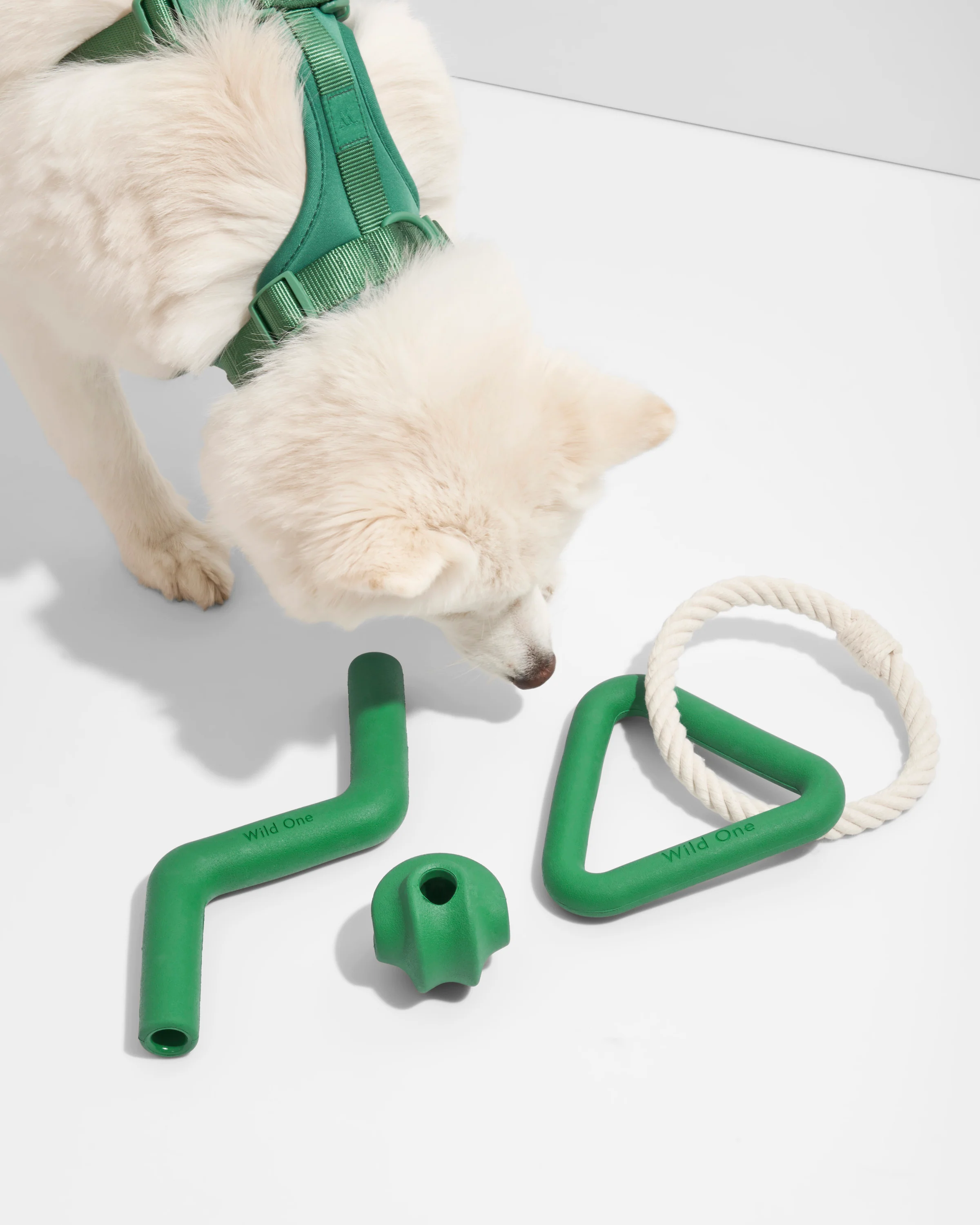 Toy Kit - Image 9