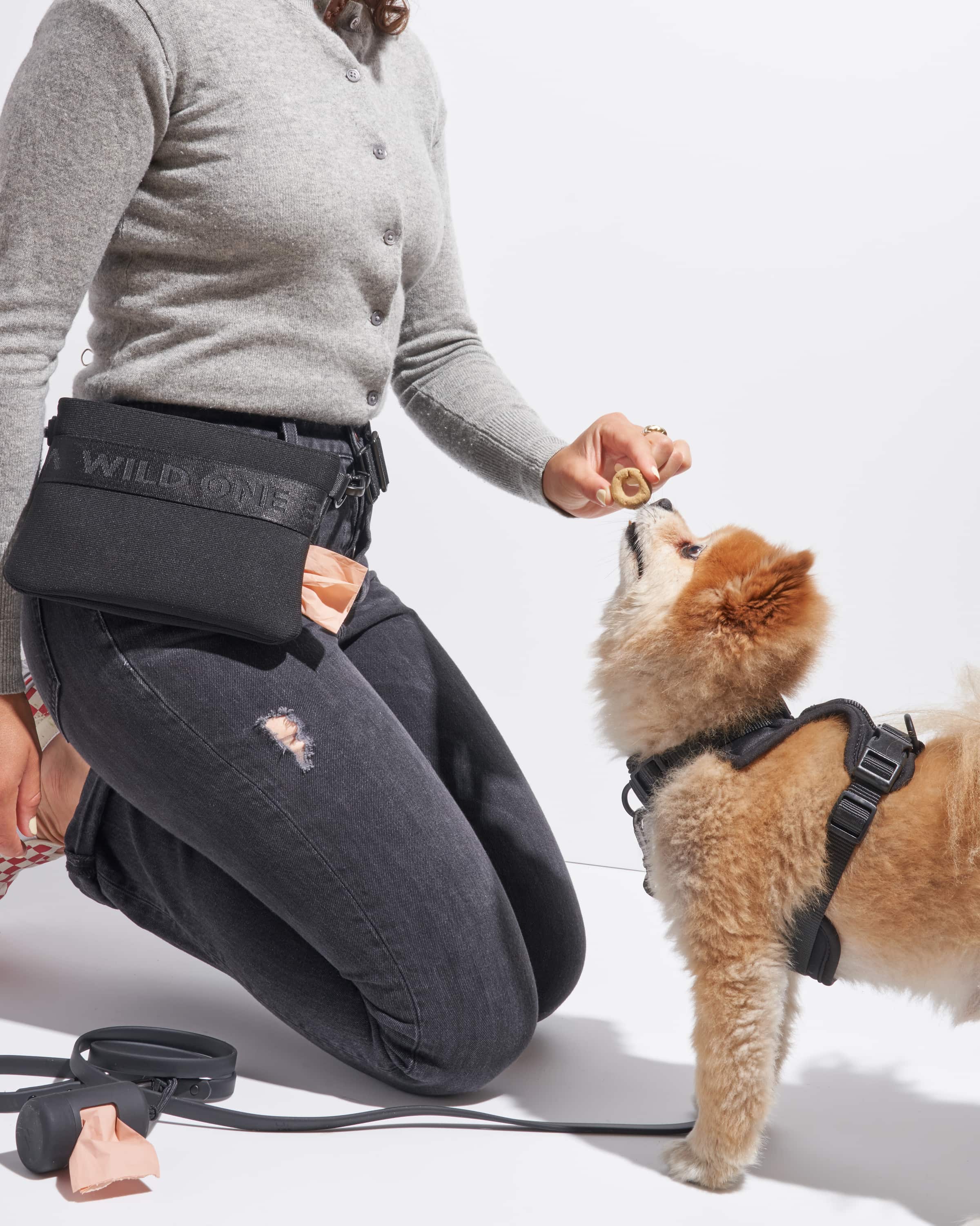 Treat Pouch - Image 38