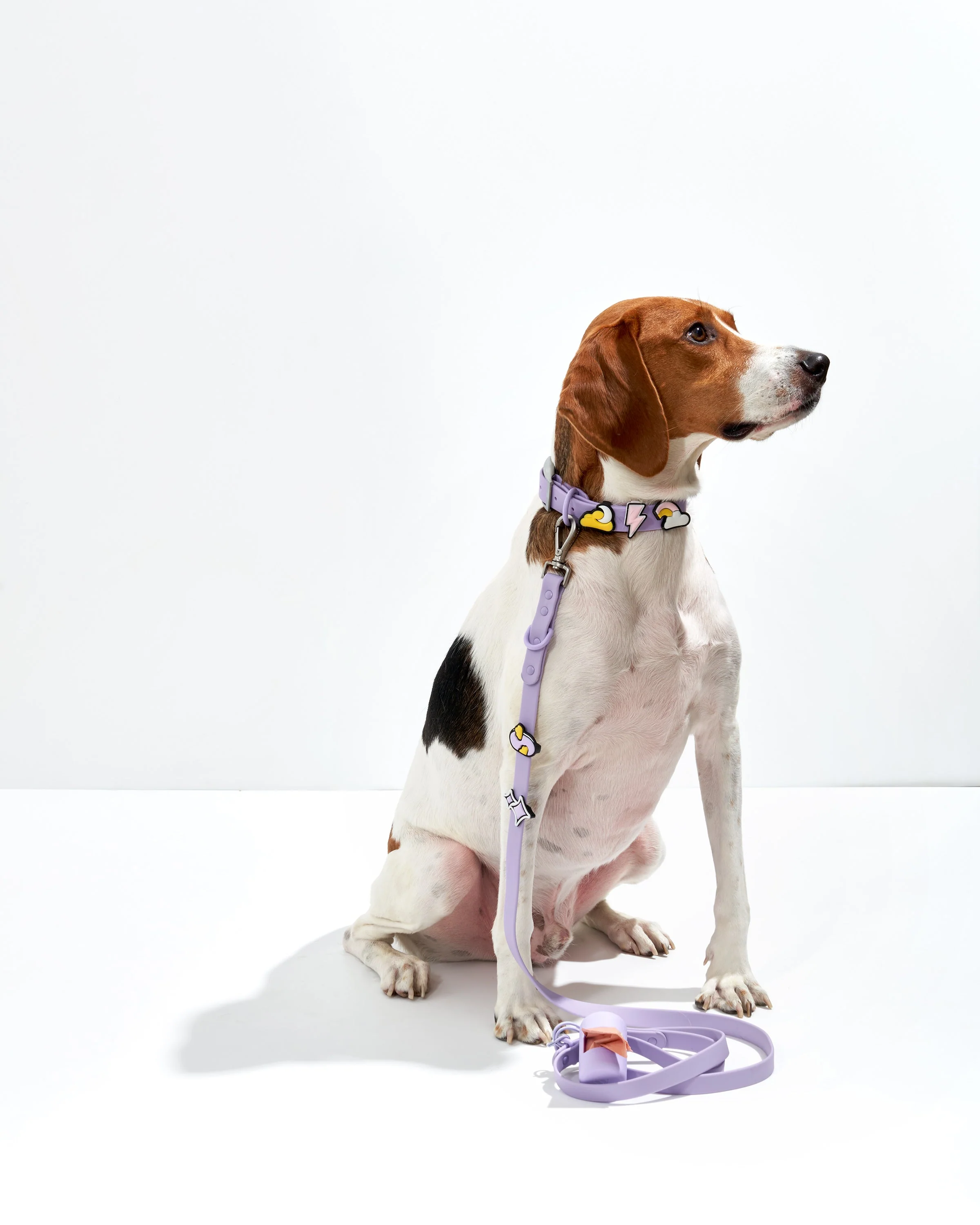 Flair Pack - Image 12