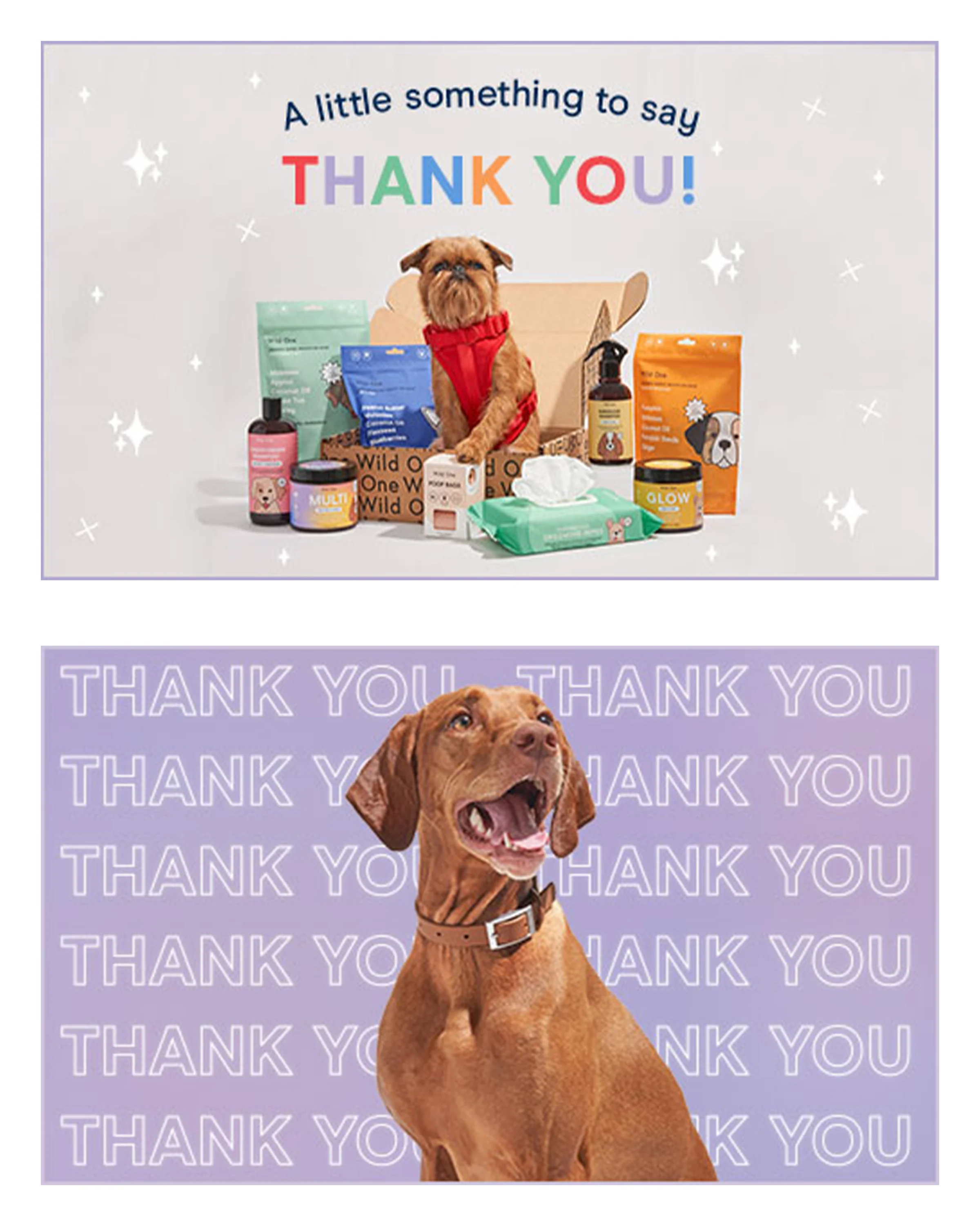 Gift Card - Image 5
