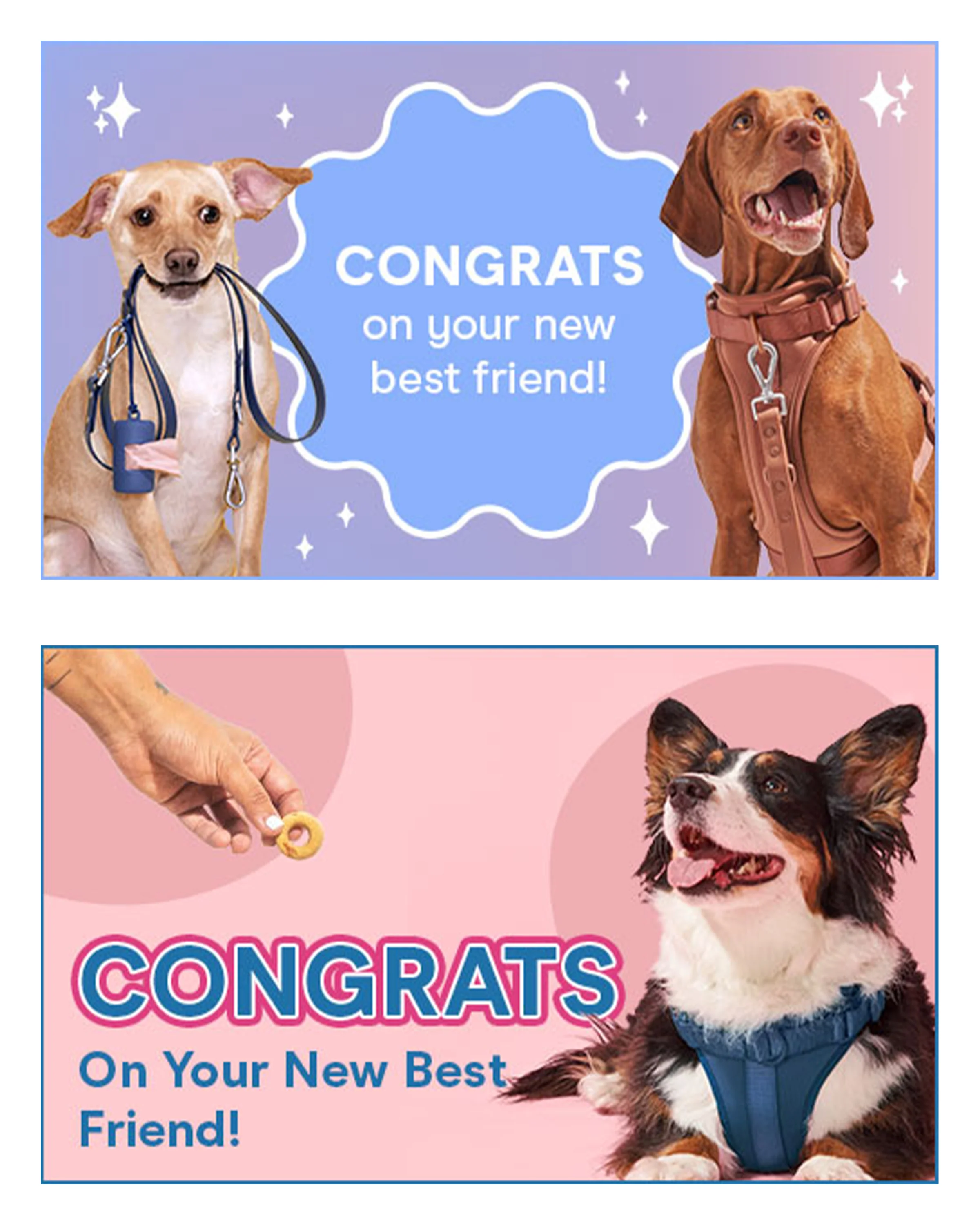 Gift Card - Image 6