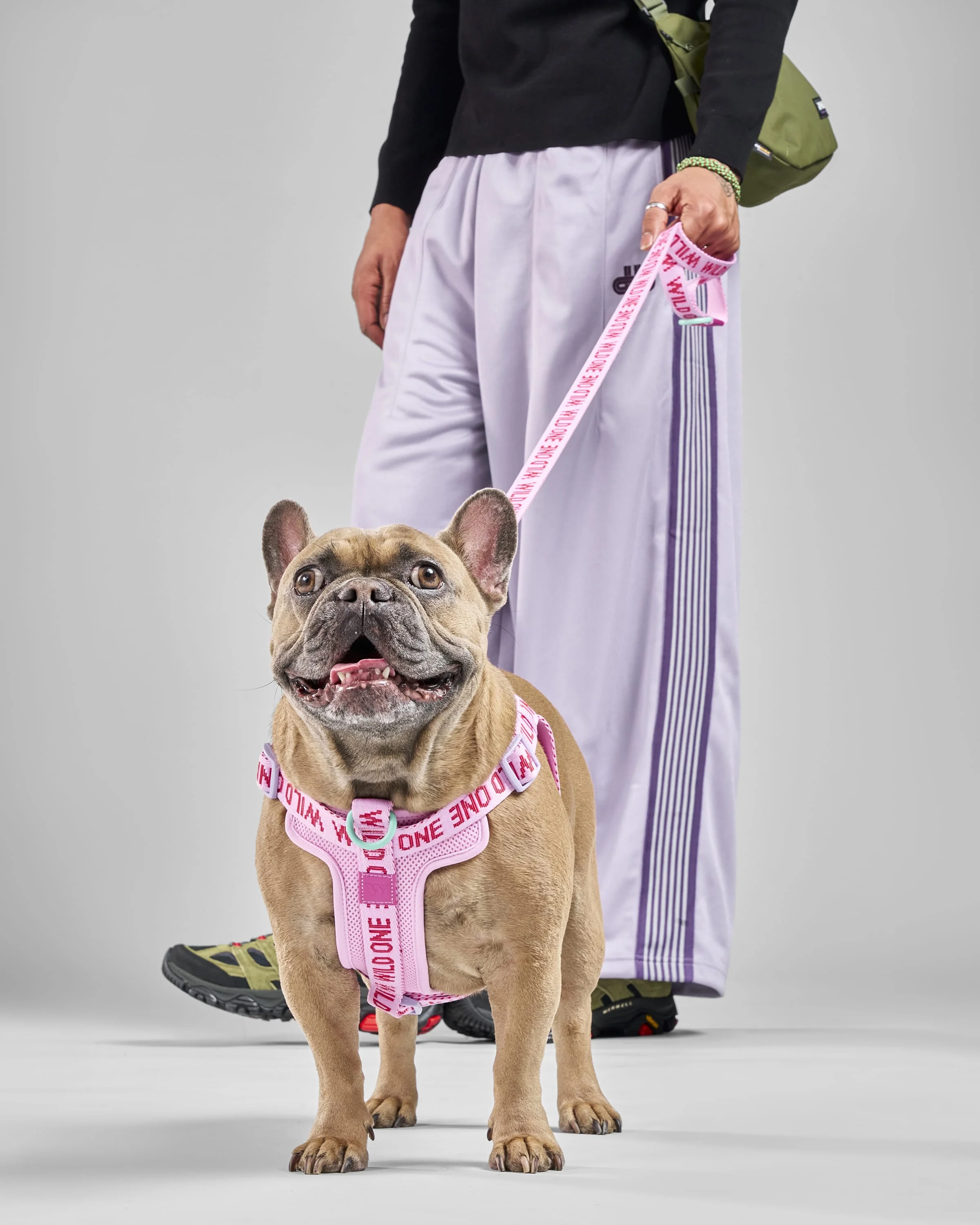 Lightweight Dog Leash - Image 11