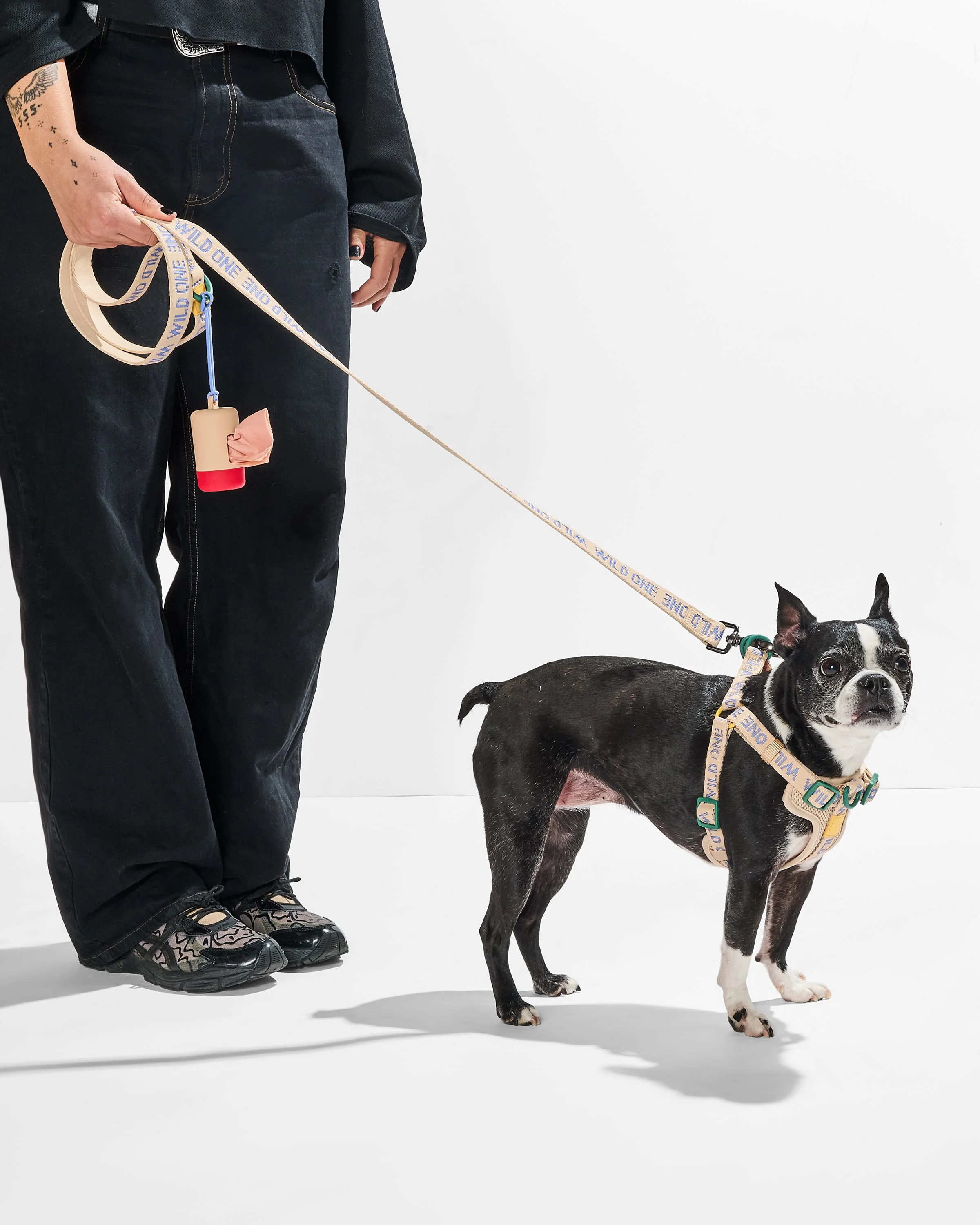 Lightweight Dog Leash - Image 5