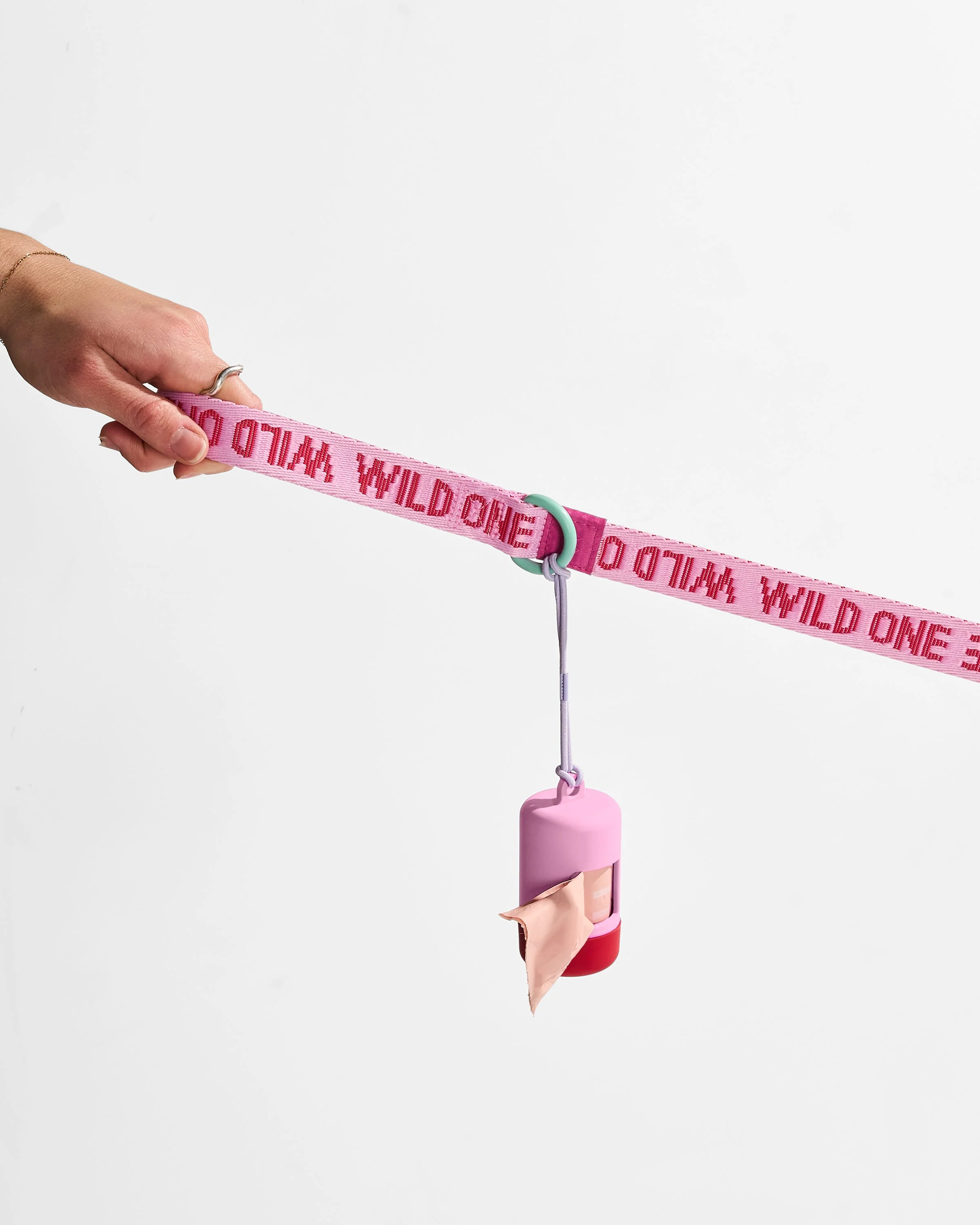 Lightweight Dog Leash - Image 8