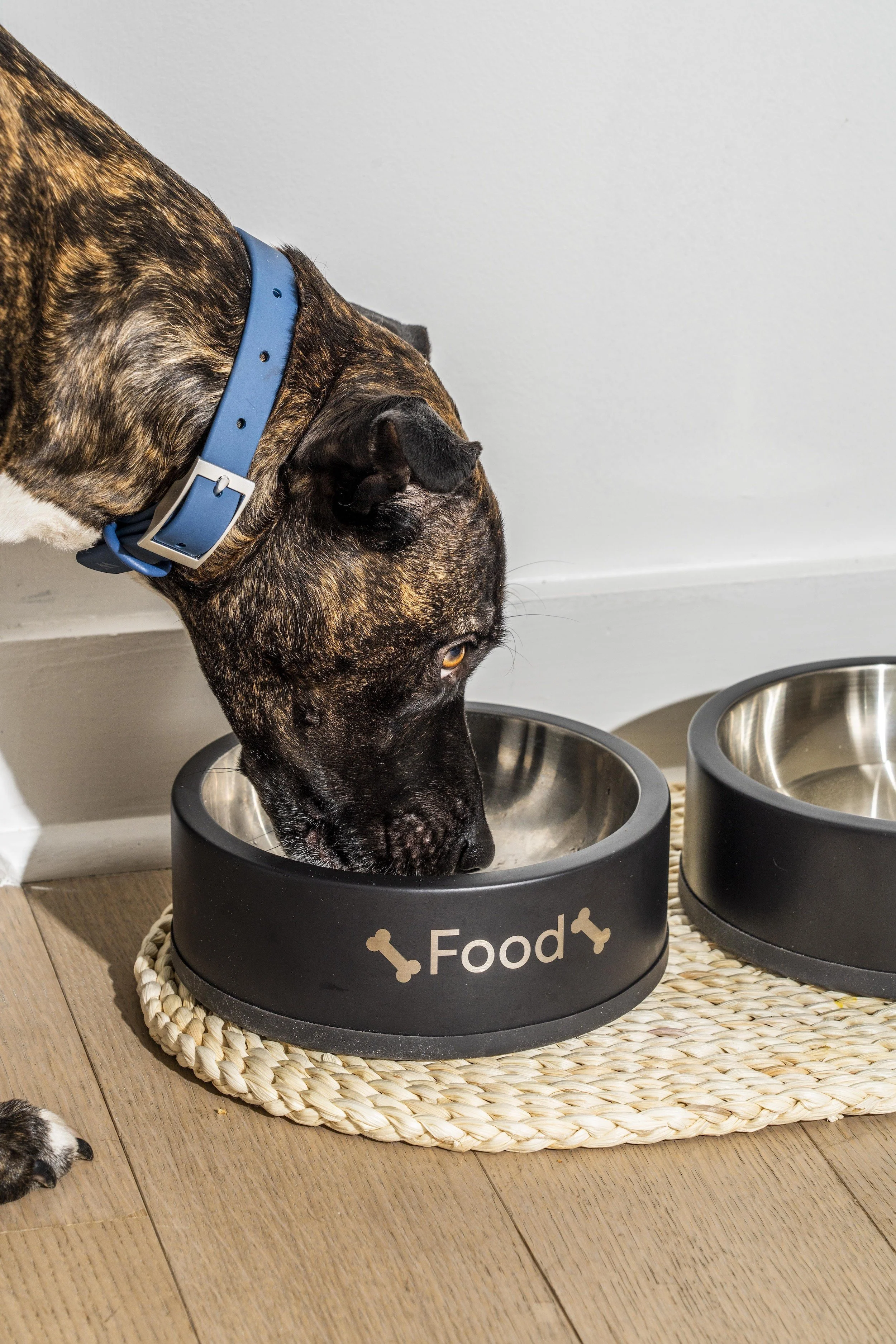 Personalized Bowl Kit - Image 9