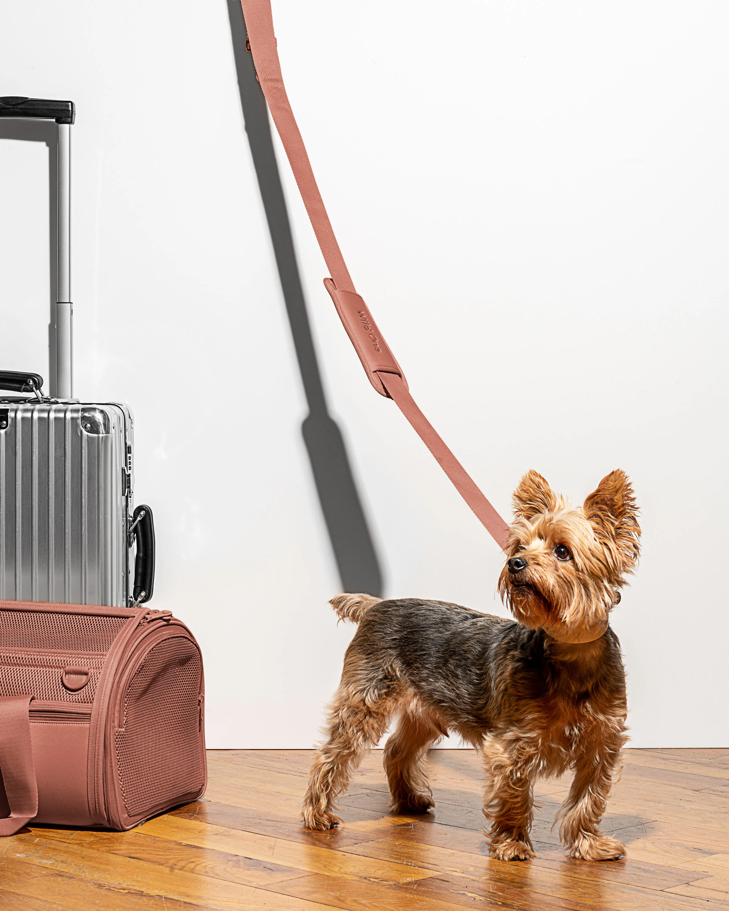 Travel Carrier - Image 18