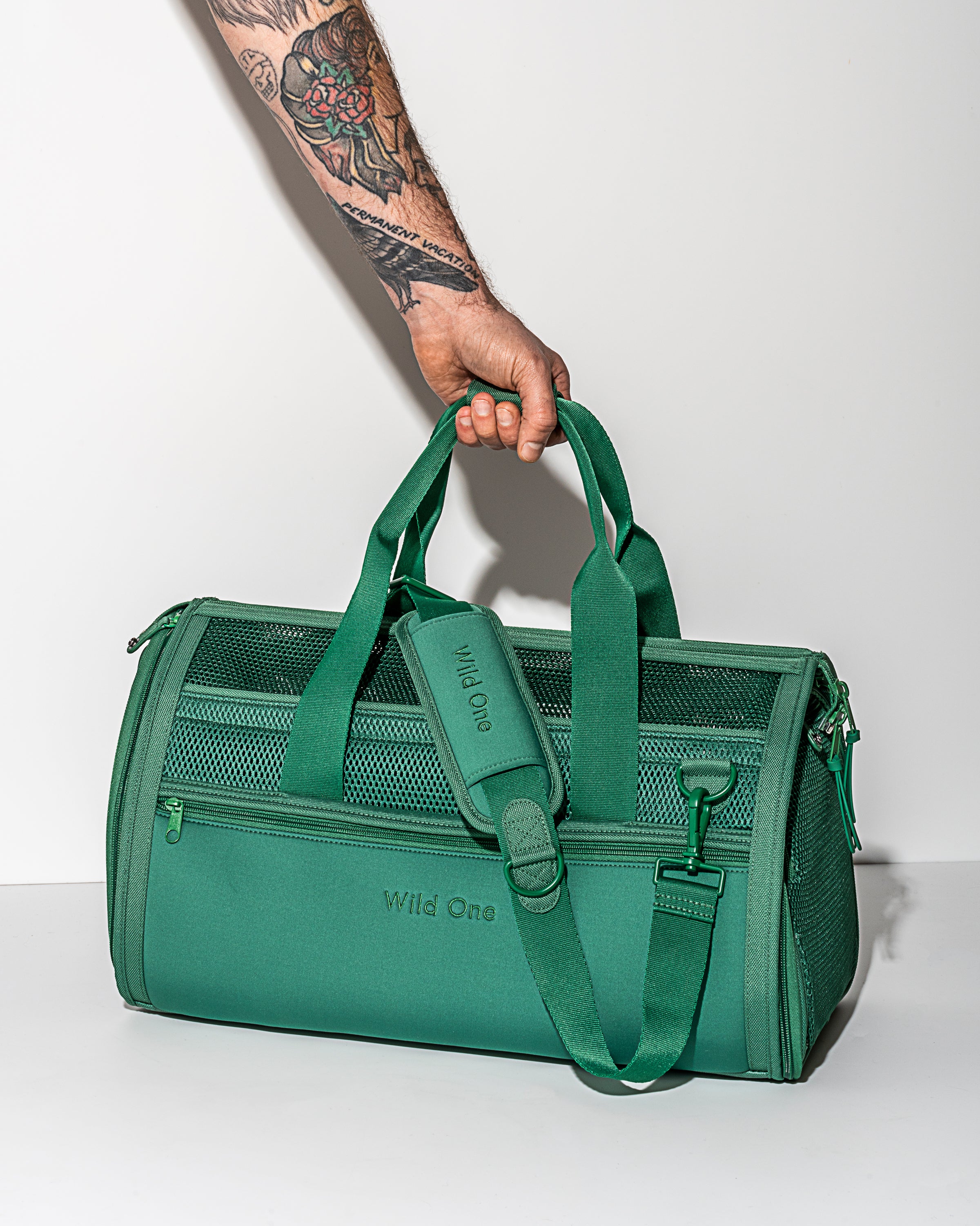 Travel Carrier - Image 3