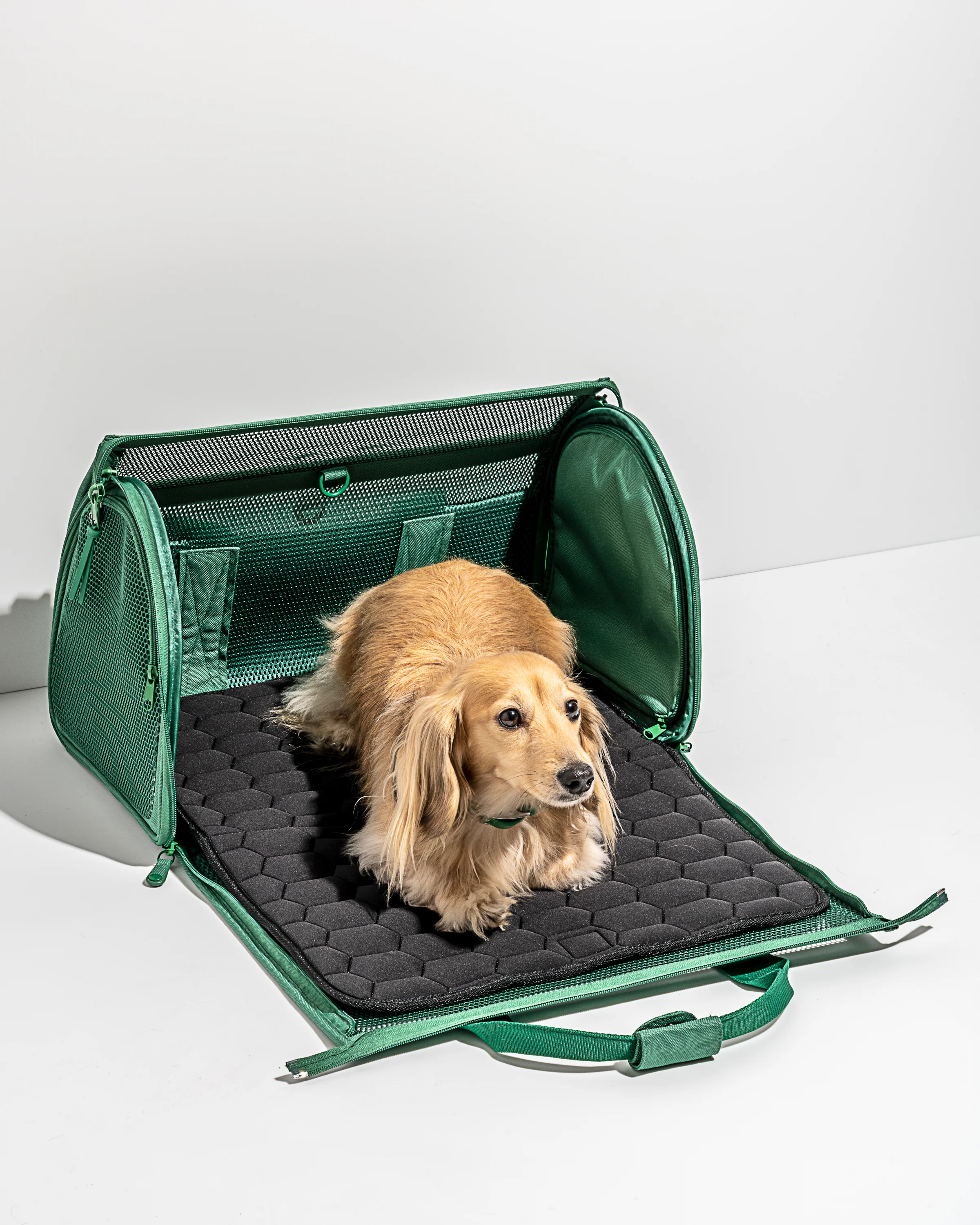 Travel Carrier - Image 4