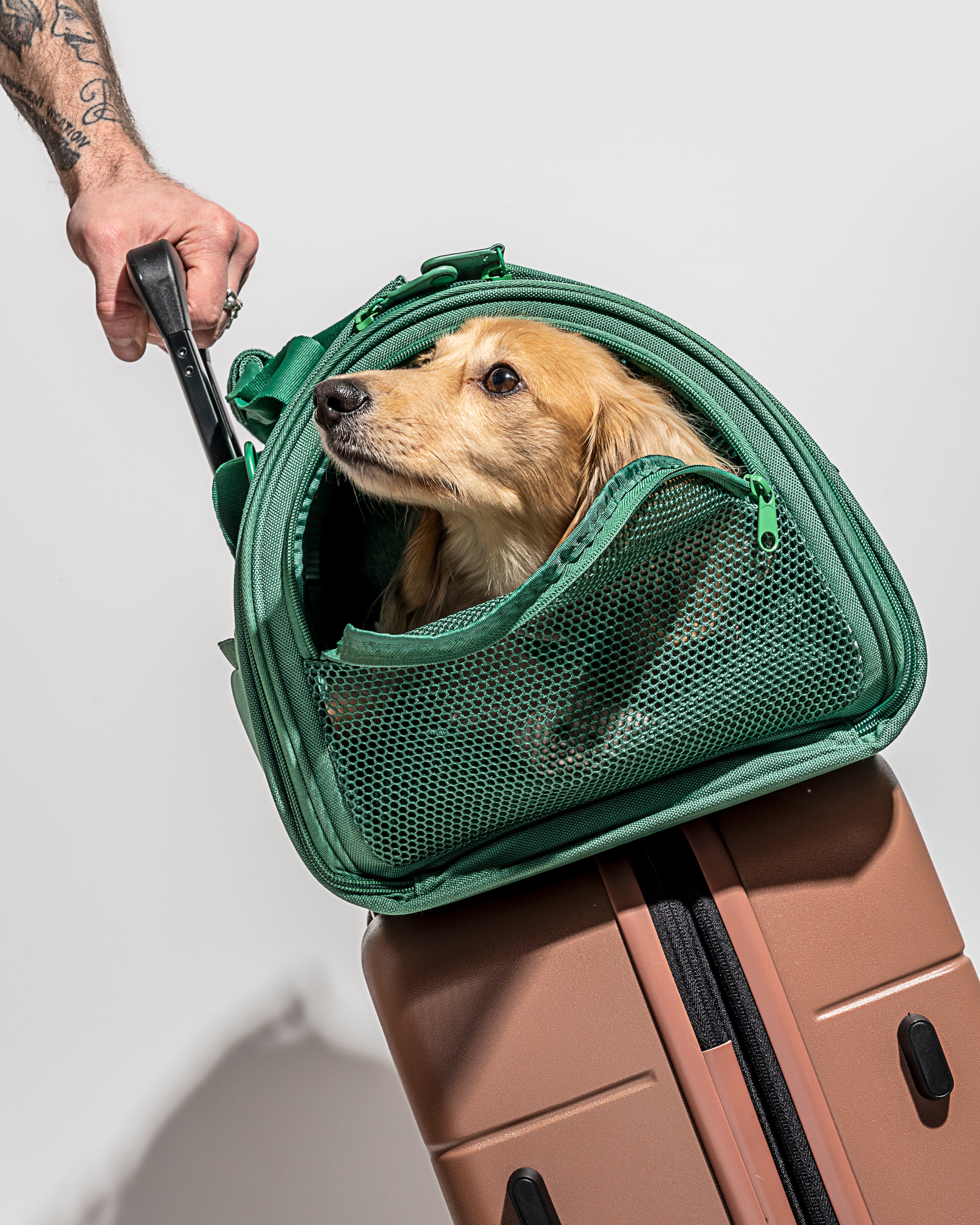 Travel Carrier - Image 9