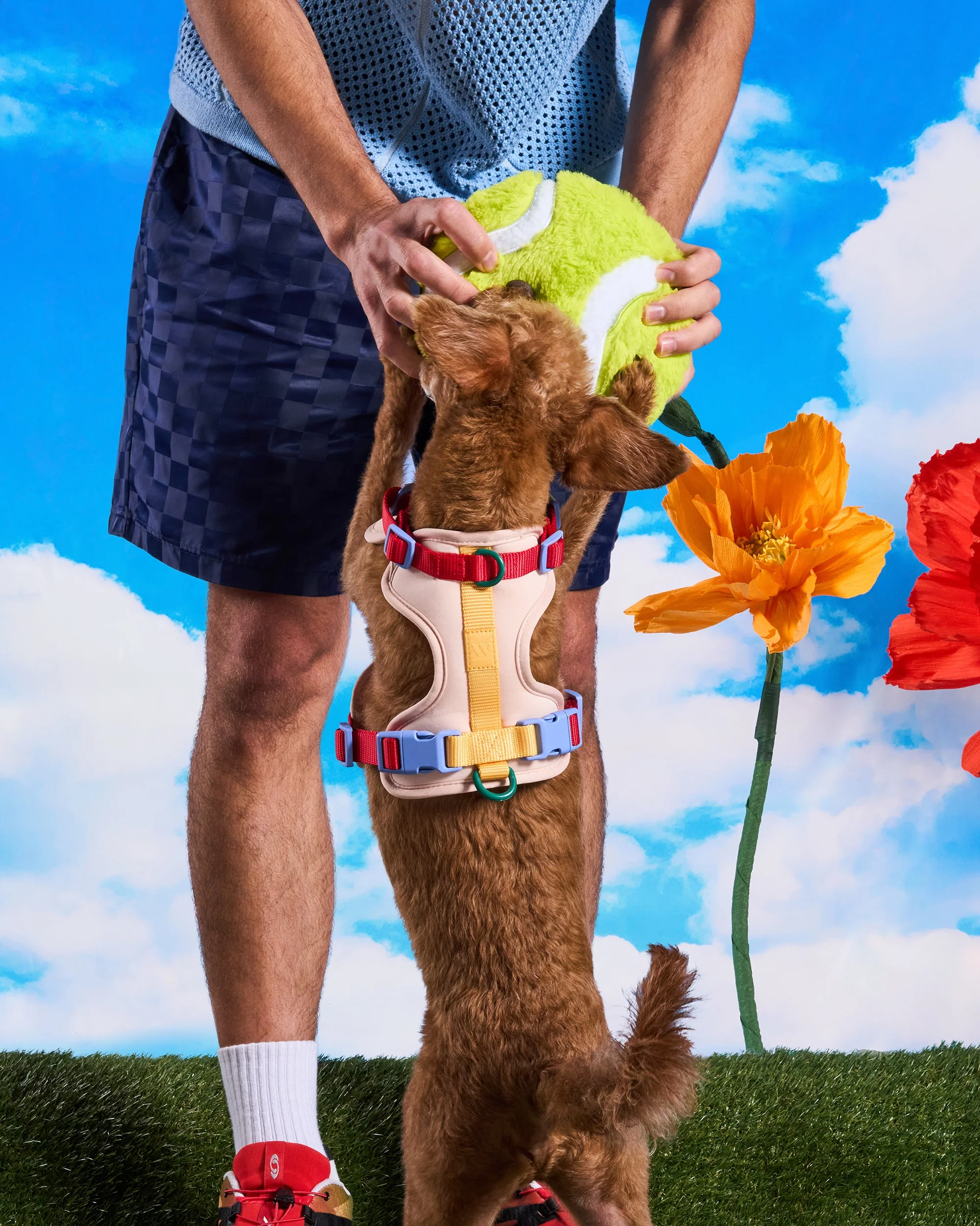 Playful Plush Dog Toy - Image 11
