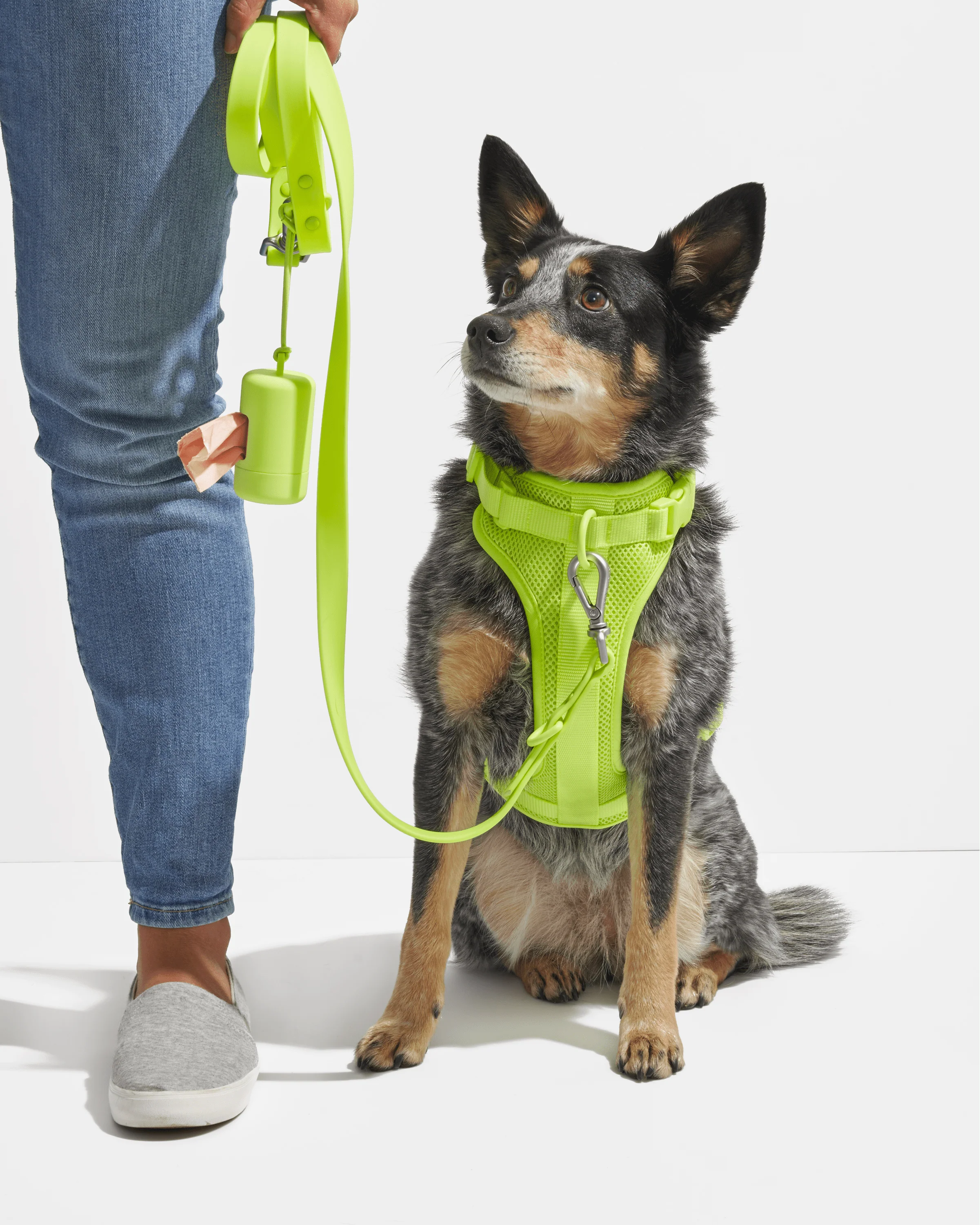 Poop Bag Carrier - Image 29
