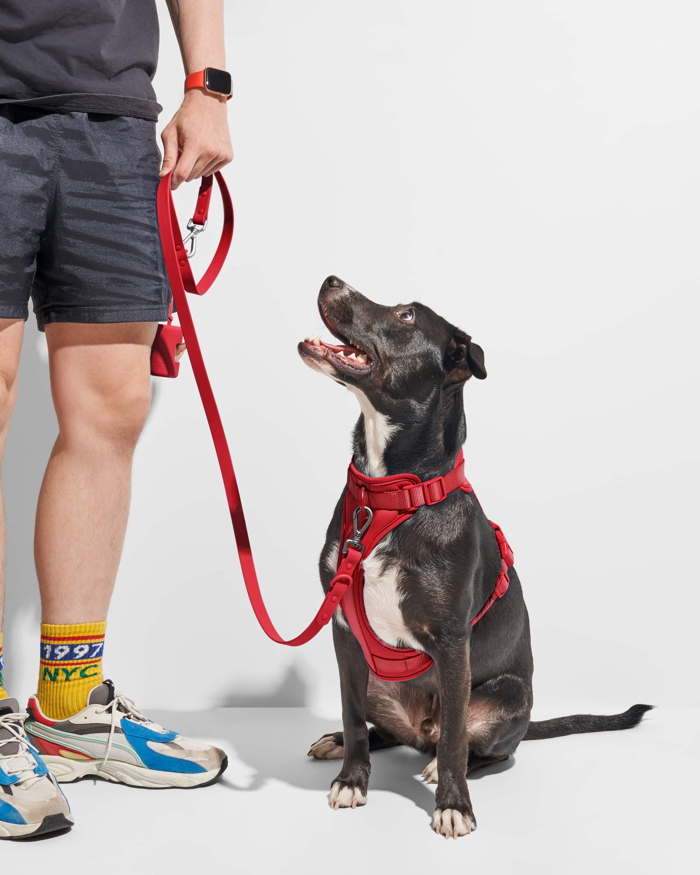 Poop Bag Carrier - Image 35