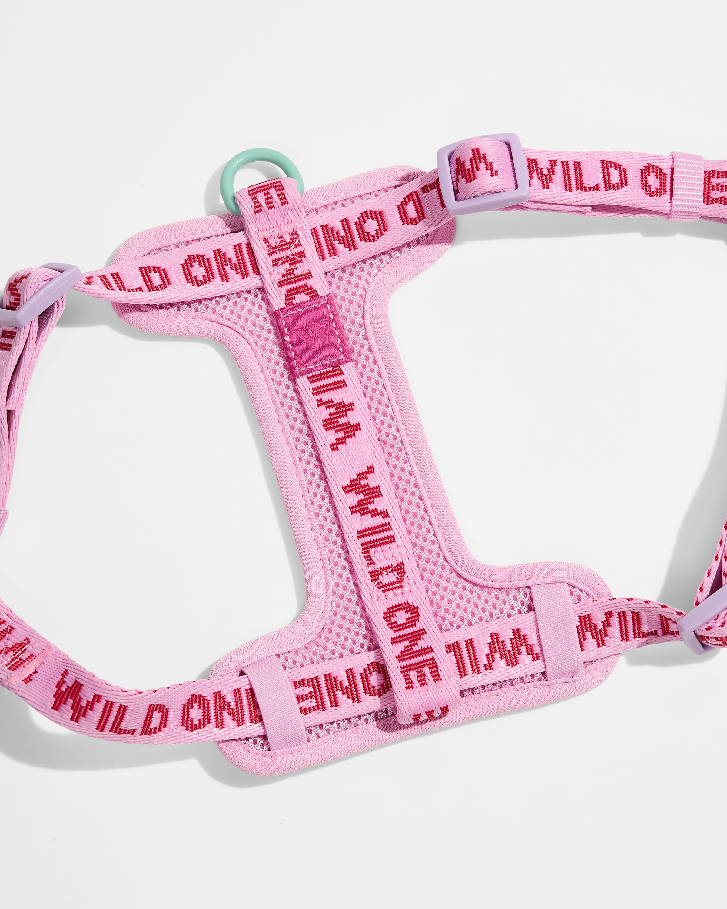 Step-In Dog Harness - Image 11