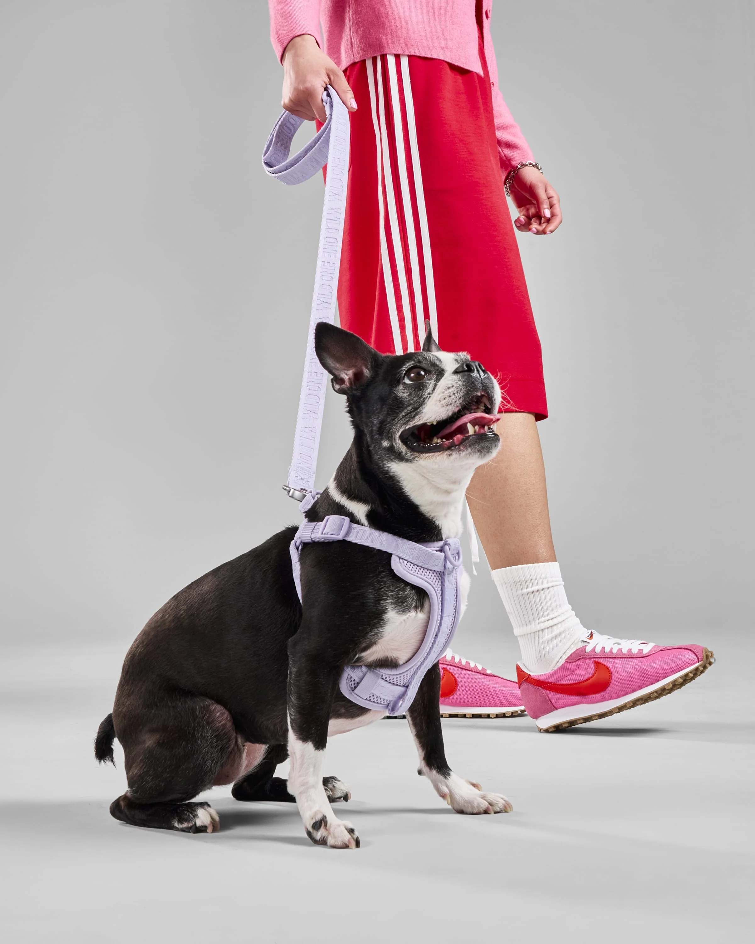 Step-In Dog Harness - Image 27