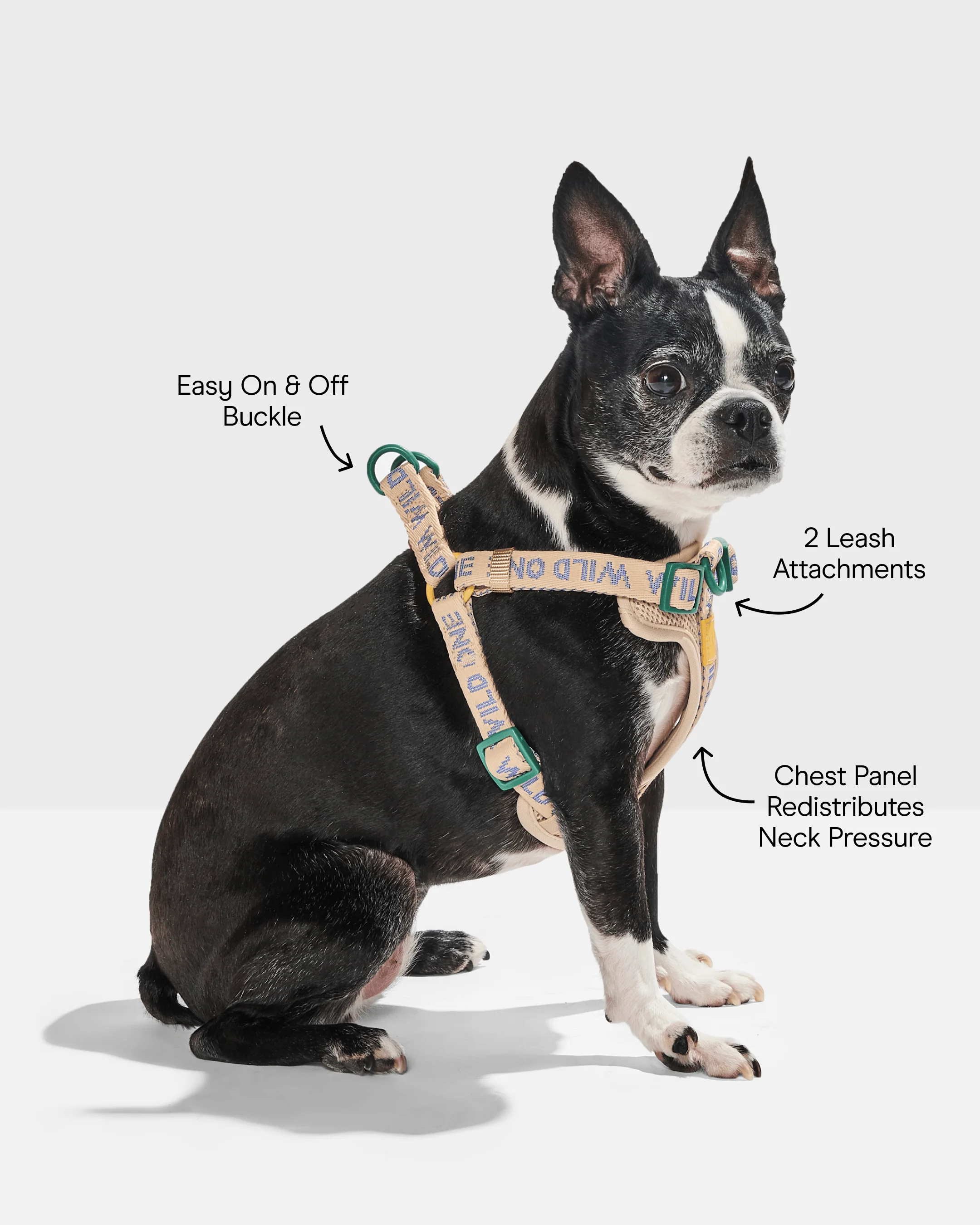 Step-In Dog Harness - Image 3