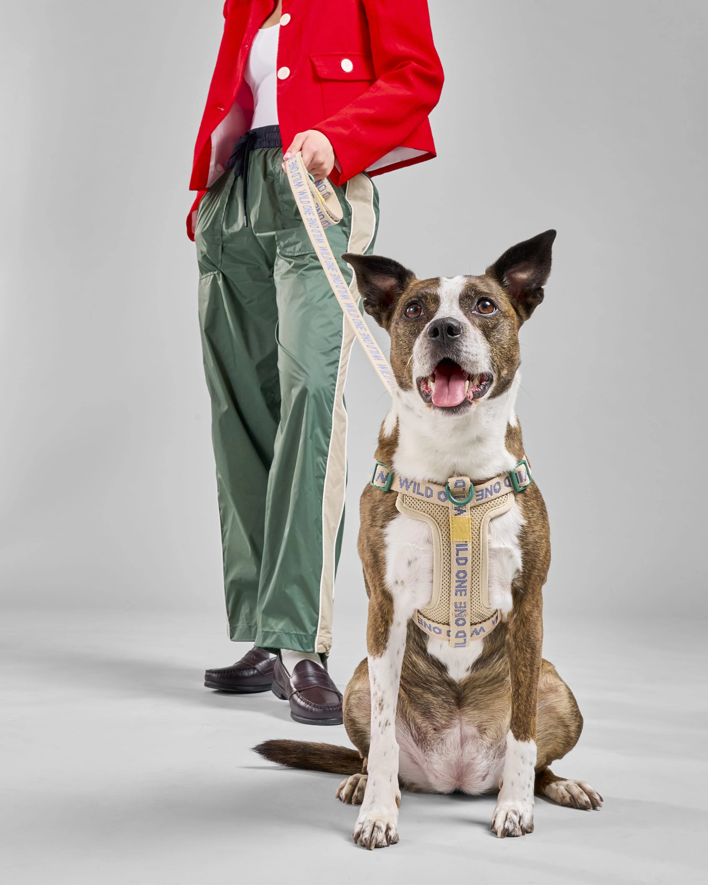 Step-In Dog Harness - Image 6