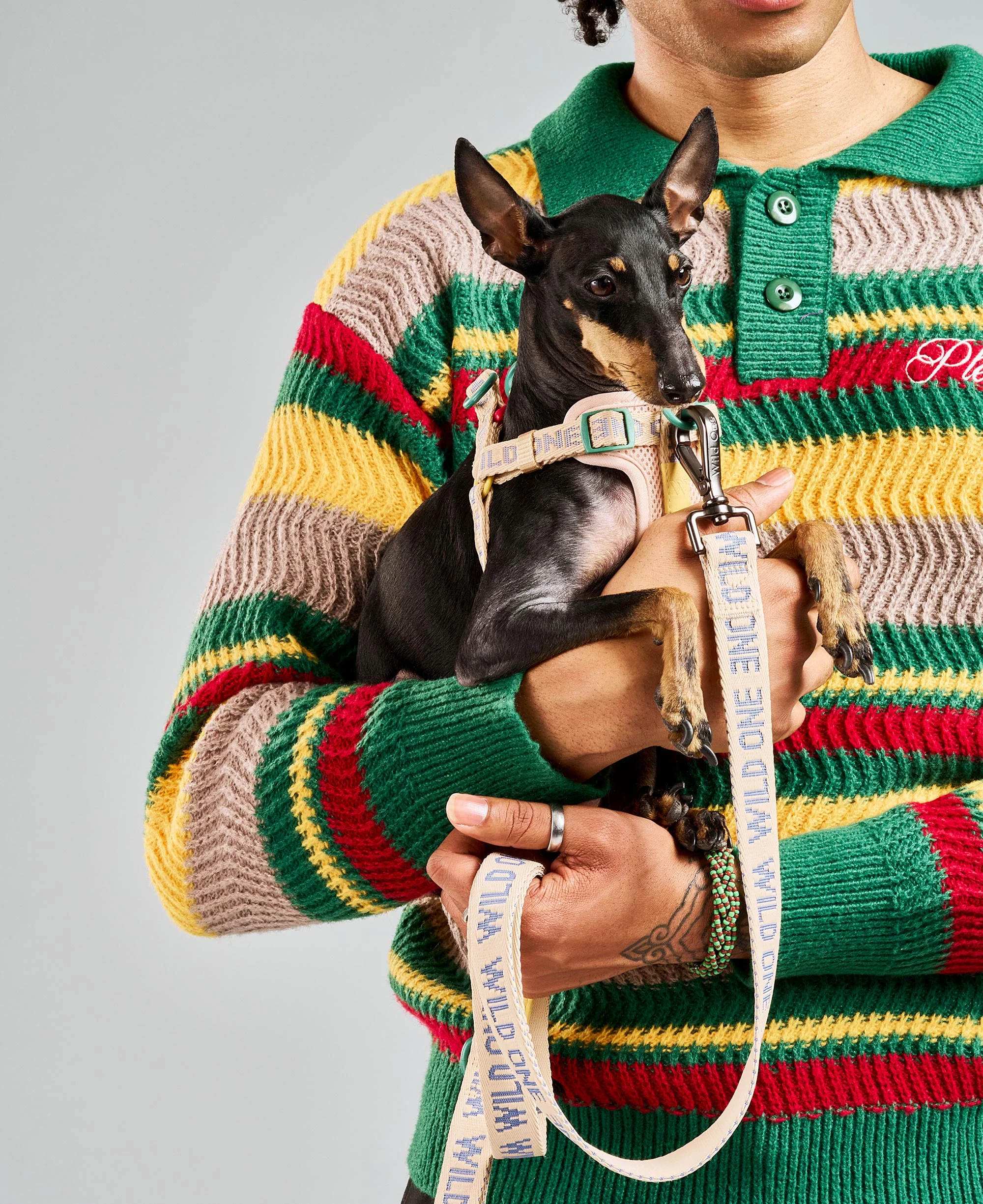 Step-In Dog Harness - Image 7
