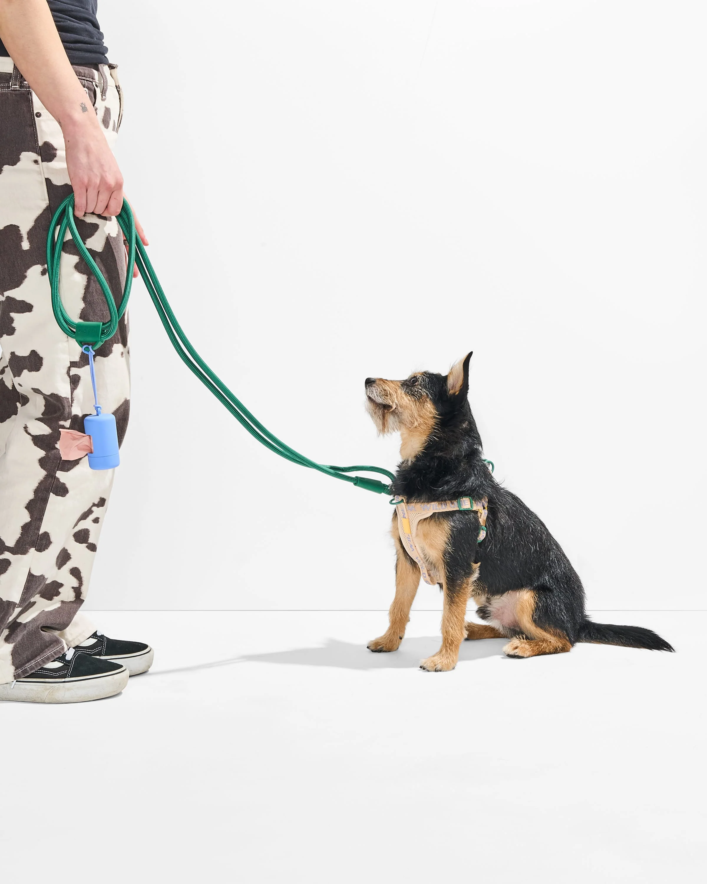Step-In Harness + Hands-Free Rope Leash Walk Kit - Image 6