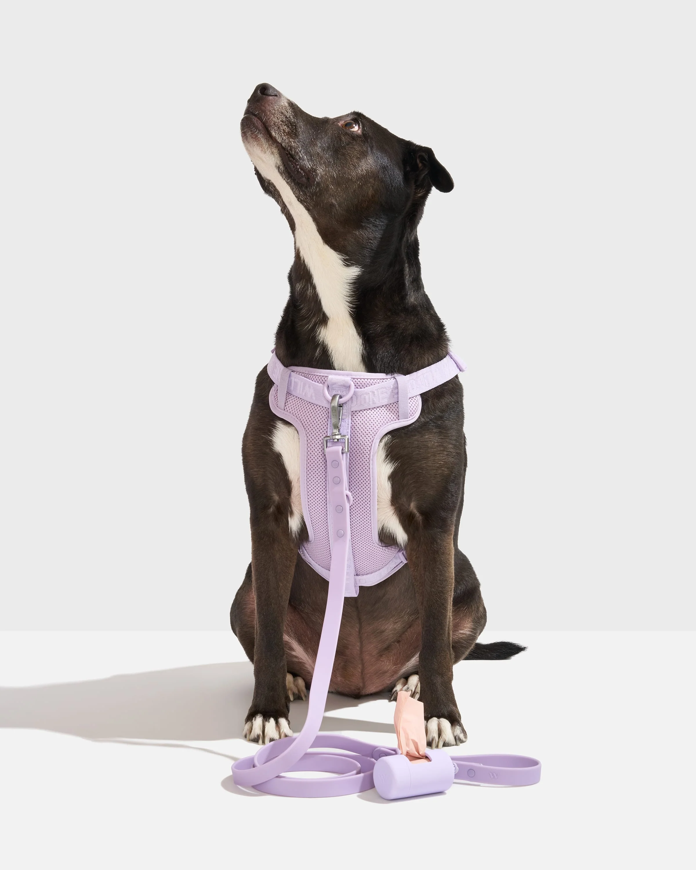 Step-In Harness + Waterproof Leash Walk Kit - Image 2