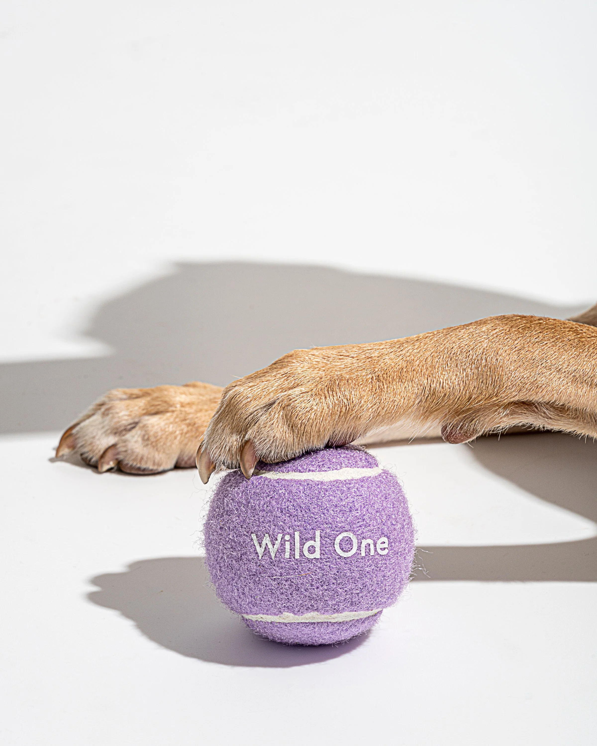Tennis Balls - Image 11
