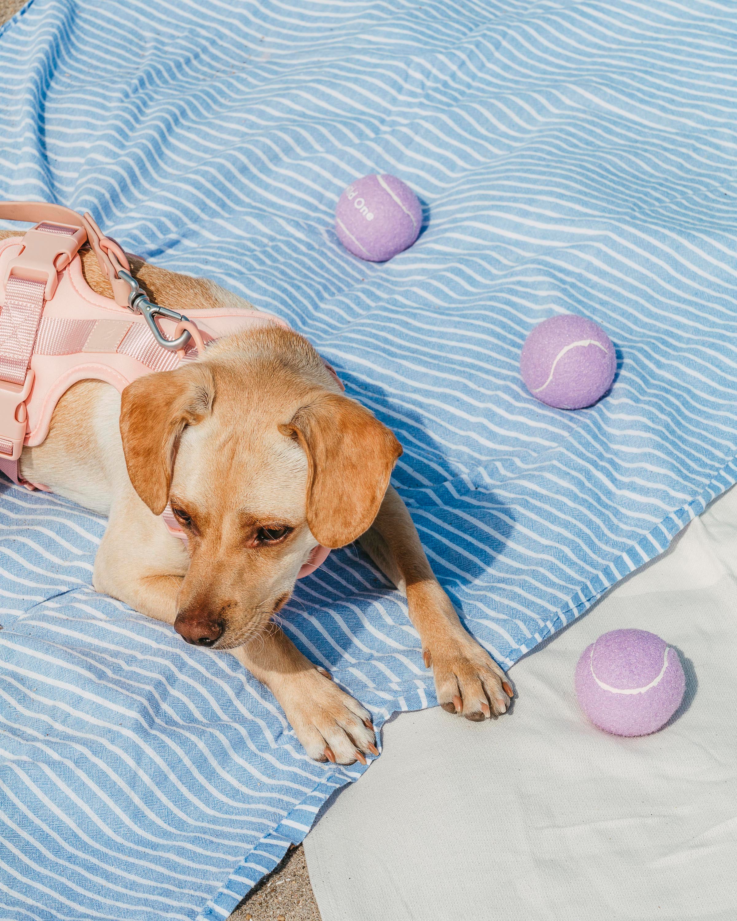 Tennis Balls - Image 13
