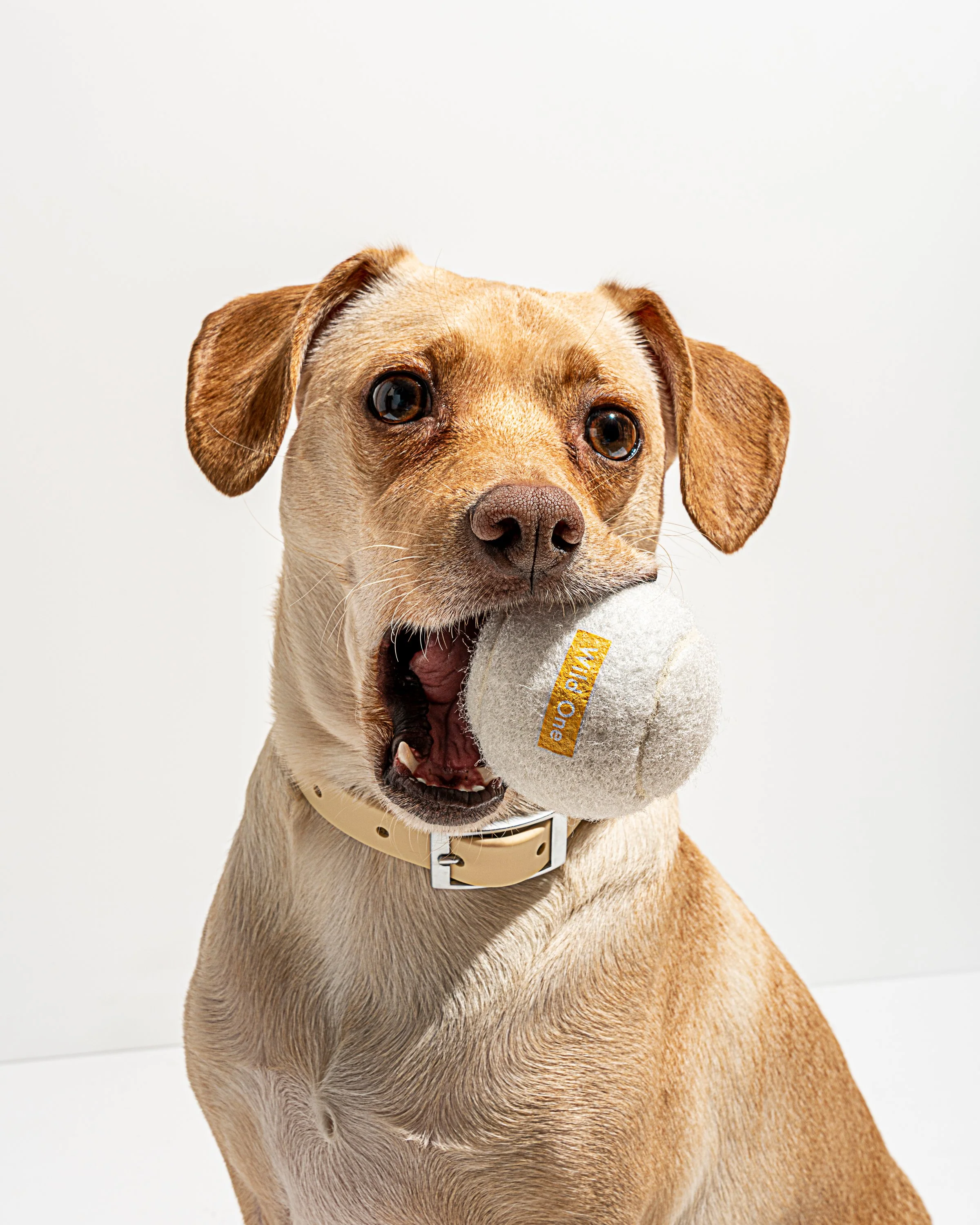 Tennis Balls - Image 15