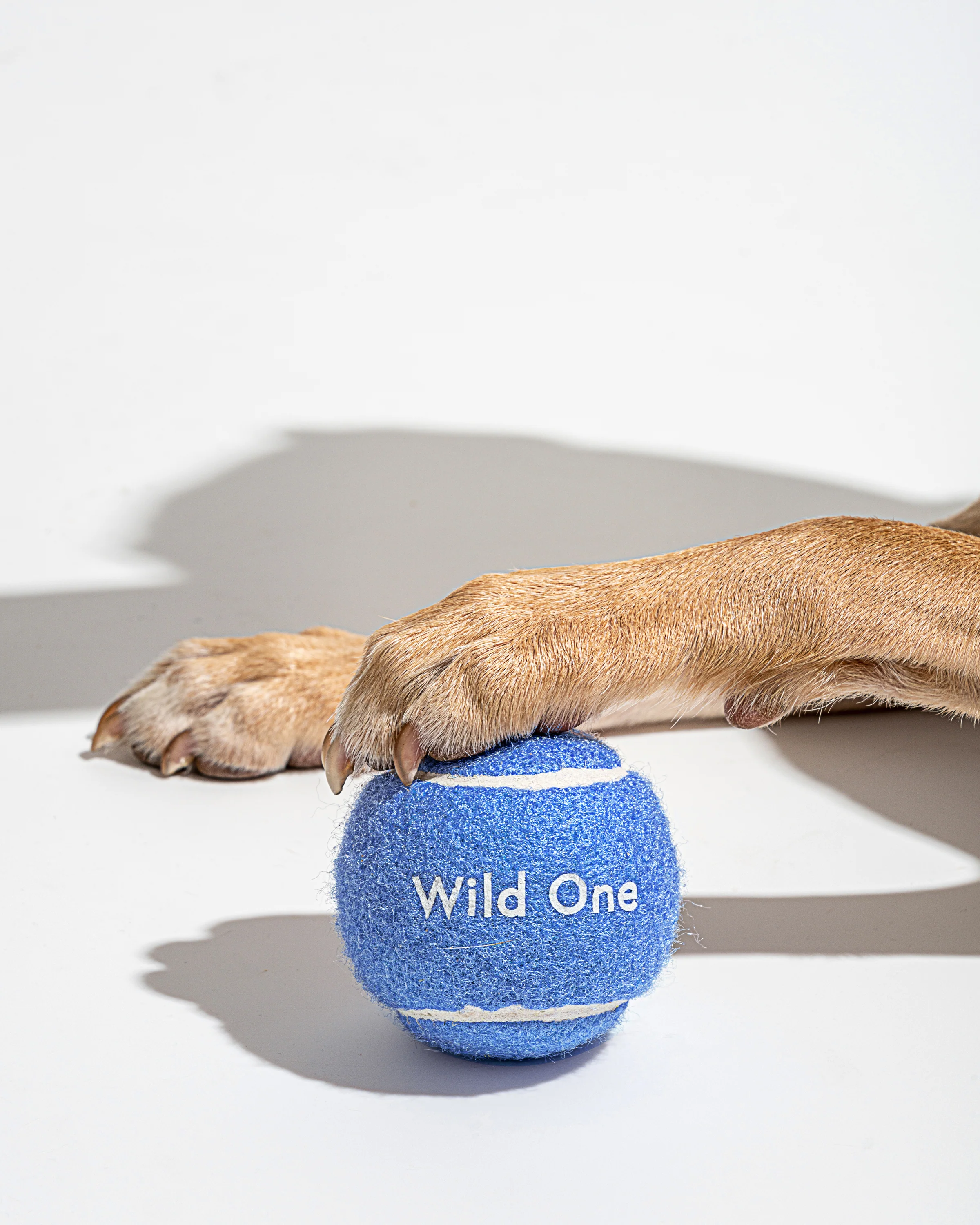 Tennis Balls - Image 5