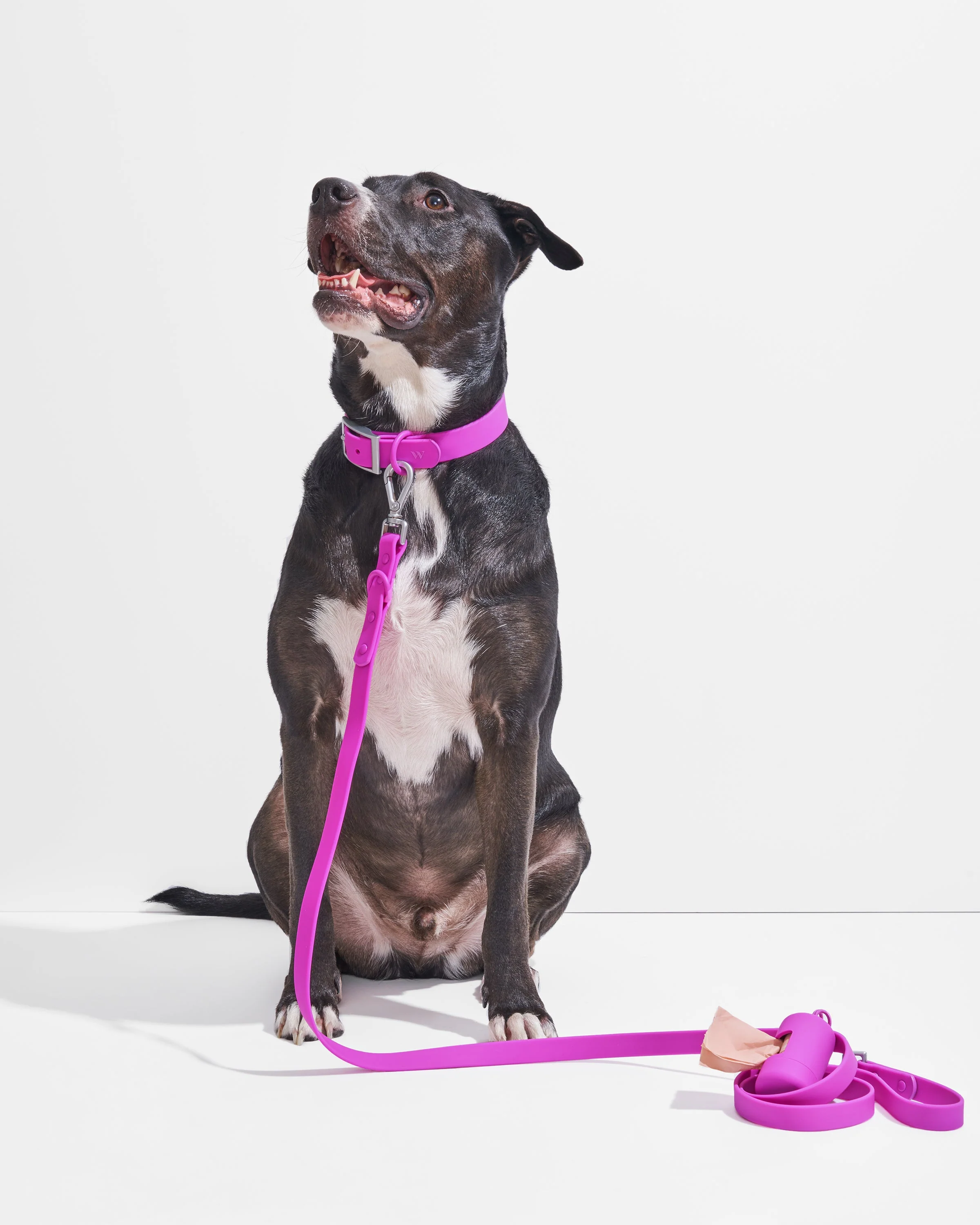 Waterproof Collar + Waterproof Leash Walk Kit - Image 3