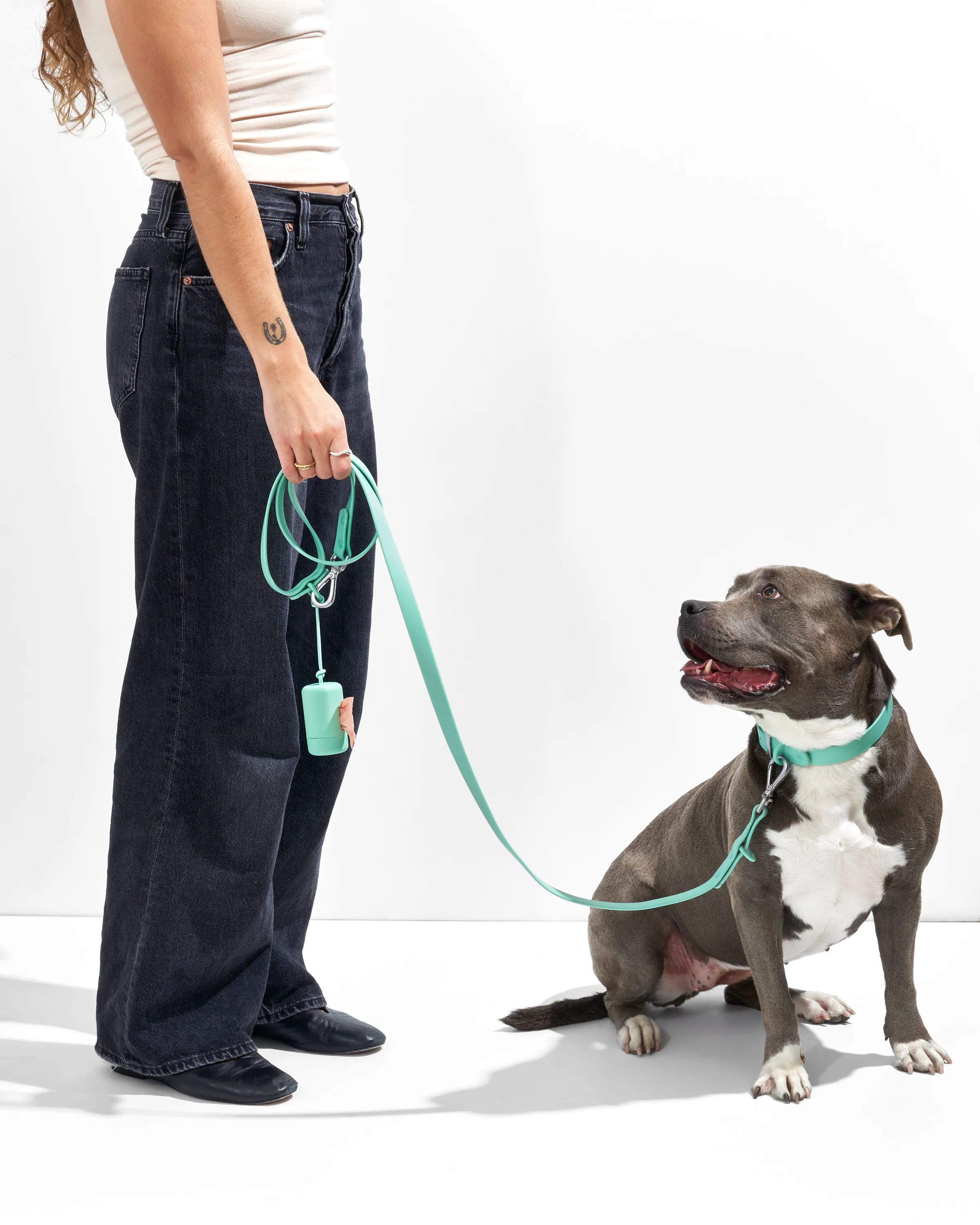 Waterproof Dog Collar - Image 14