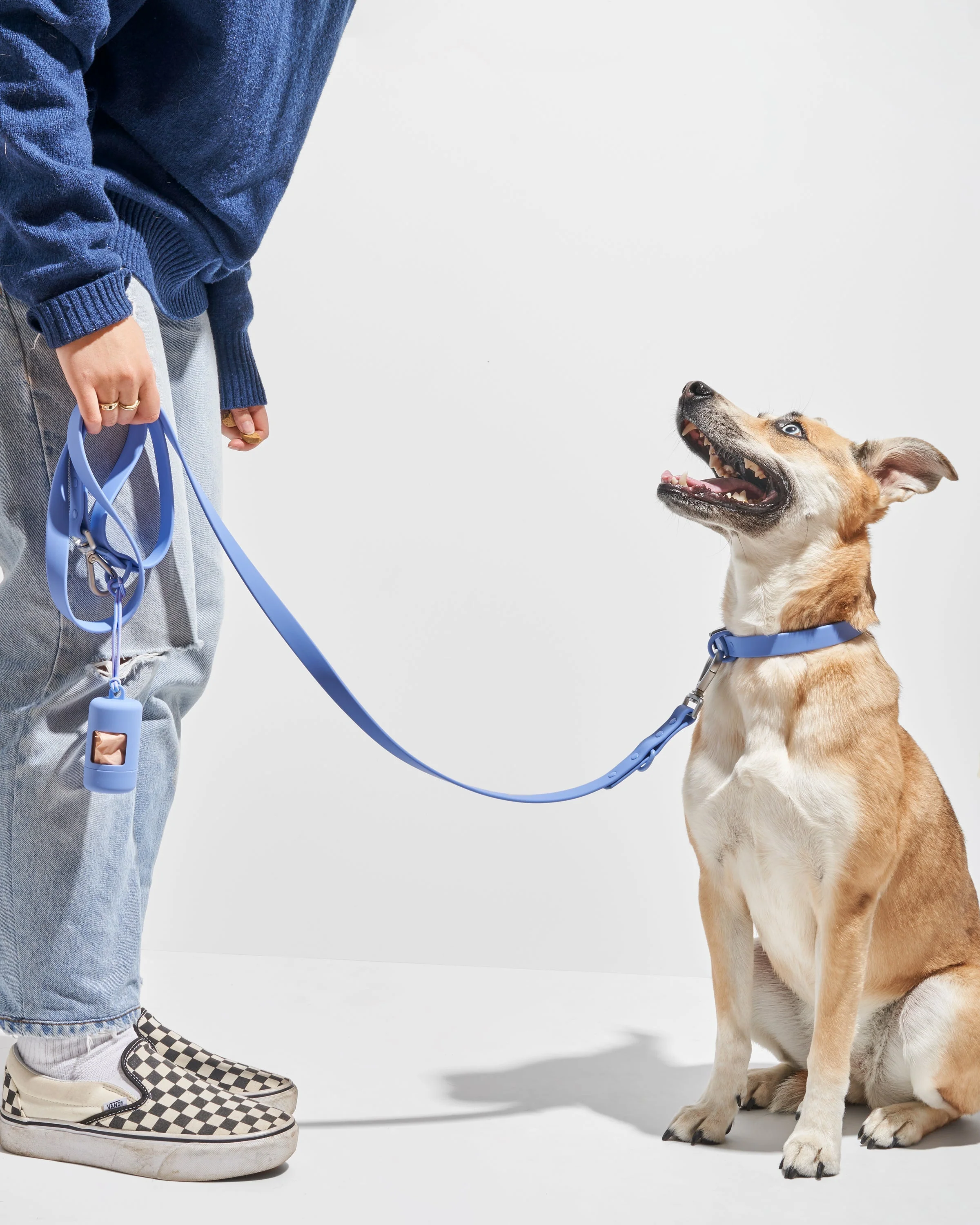 Waterproof Dog Collar - Image 26