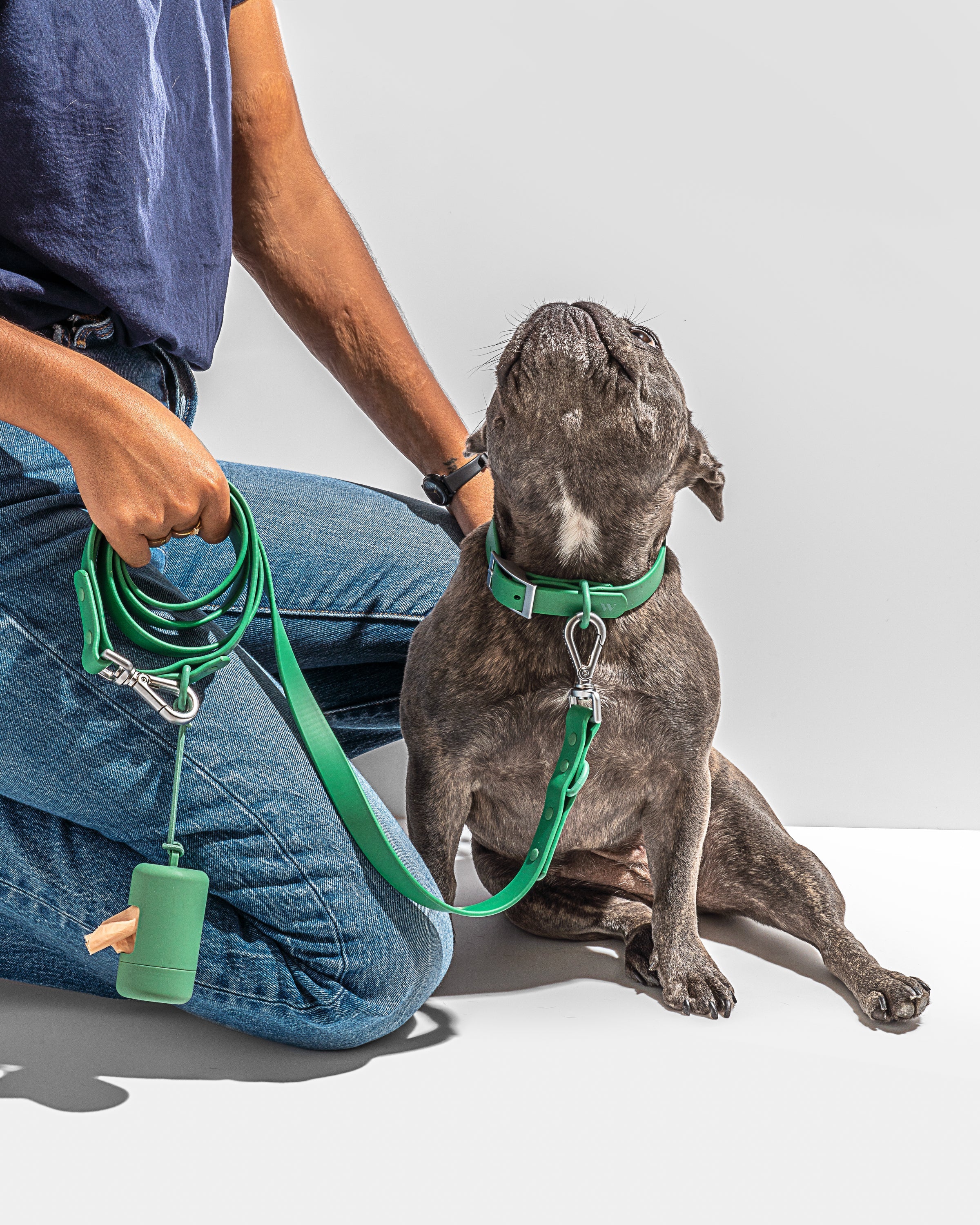 Waterproof Dog Collar - Image 40