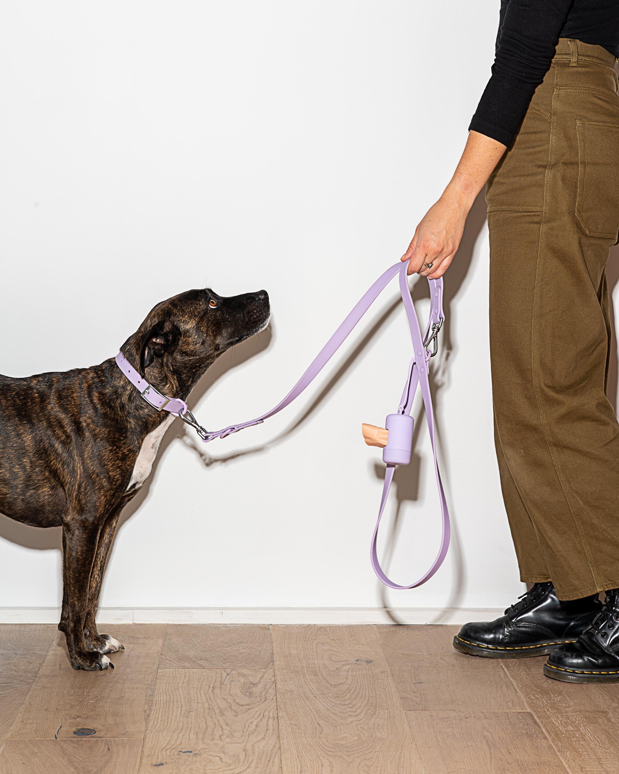 Waterproof Dog Collar - Image 53